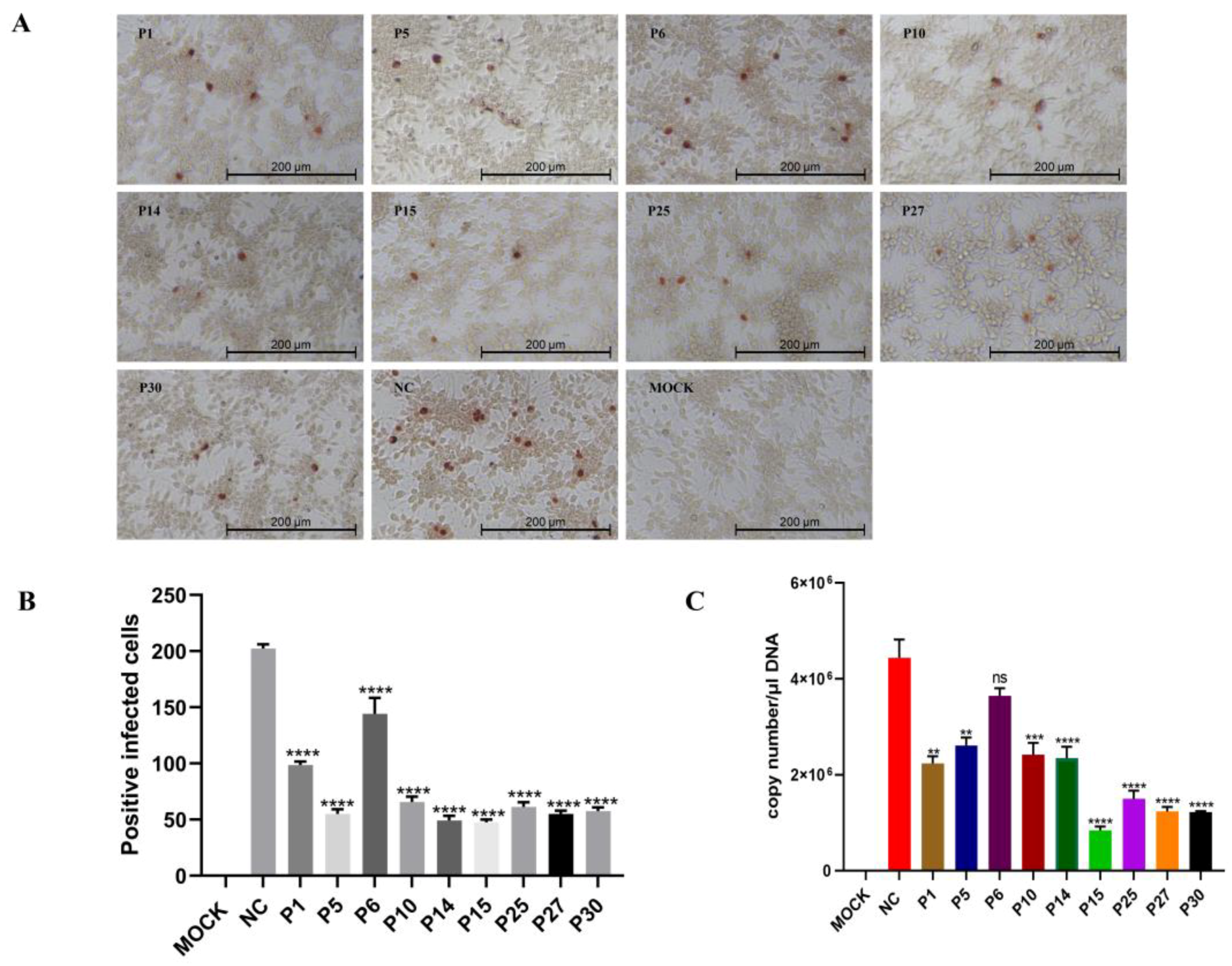 Viruses 15 00821 g004