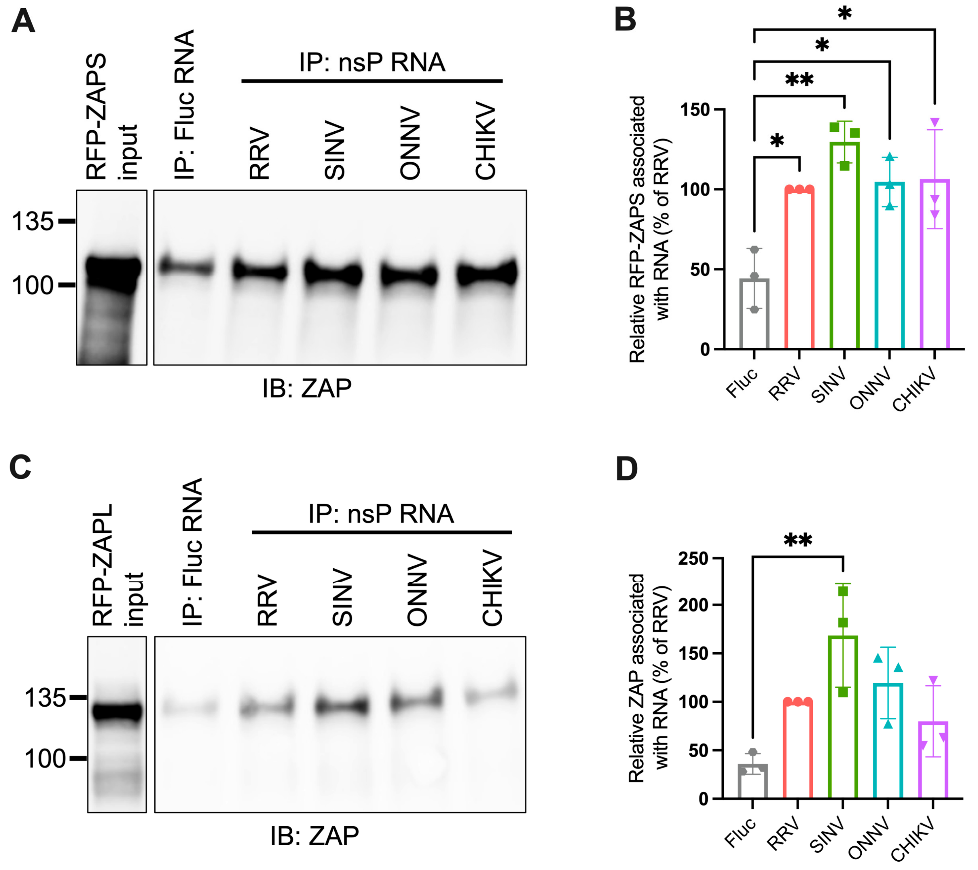 Viruses 15 00830 g005 Viruses 15 00830 g005
