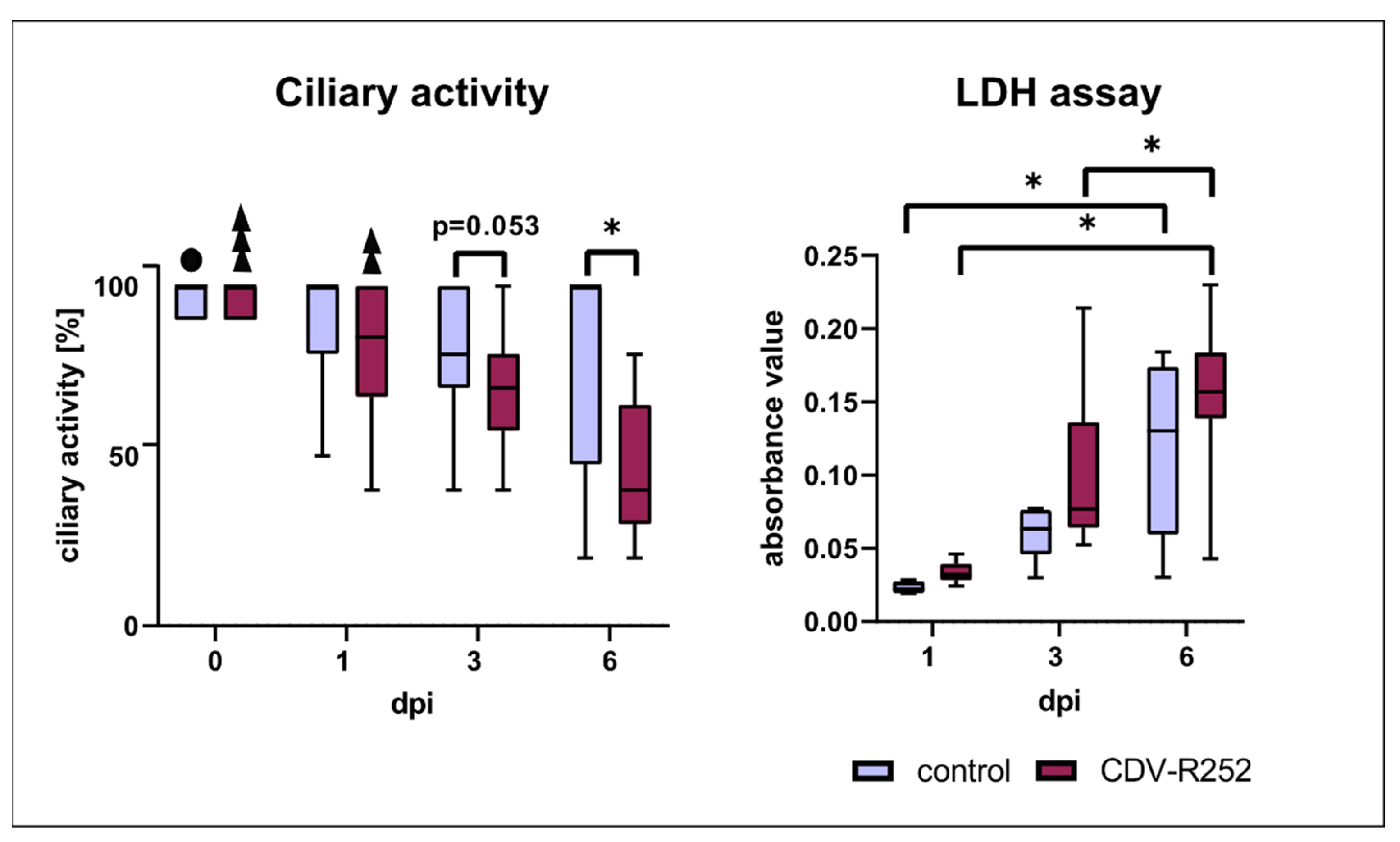 Viruses 15 00834 g005