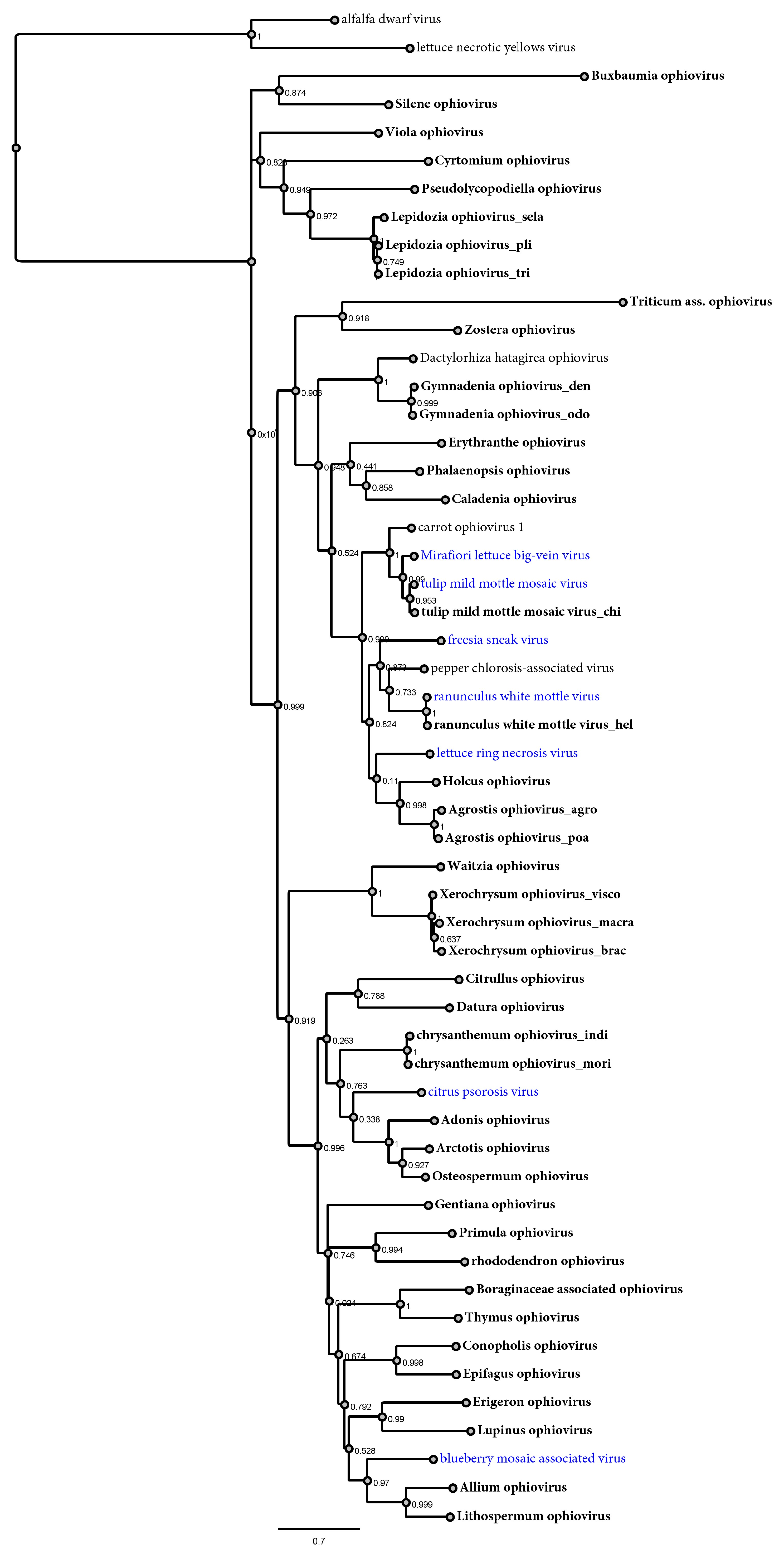 Viruses 15 00840 g002
