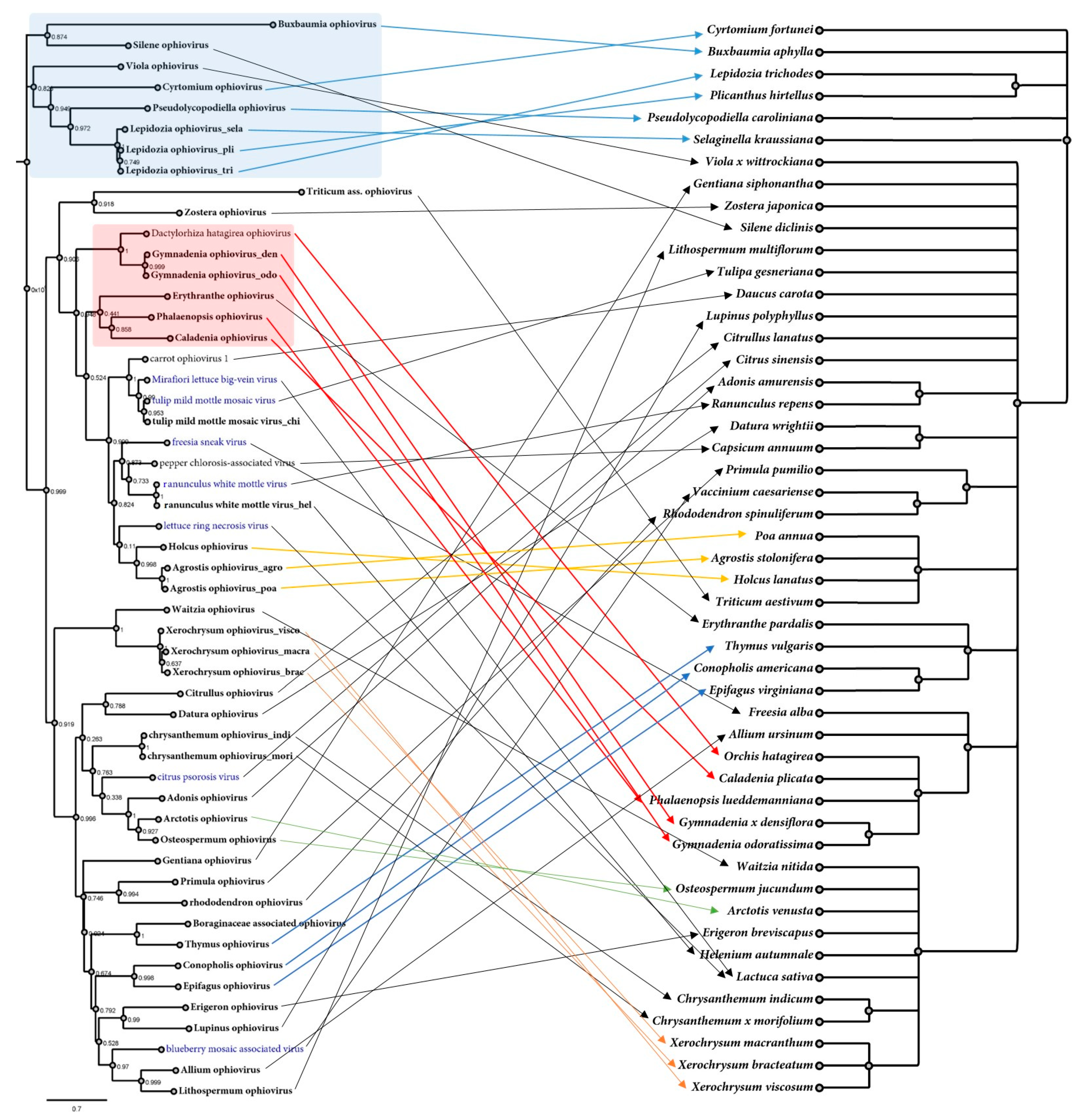 Viruses 15 00840 g003