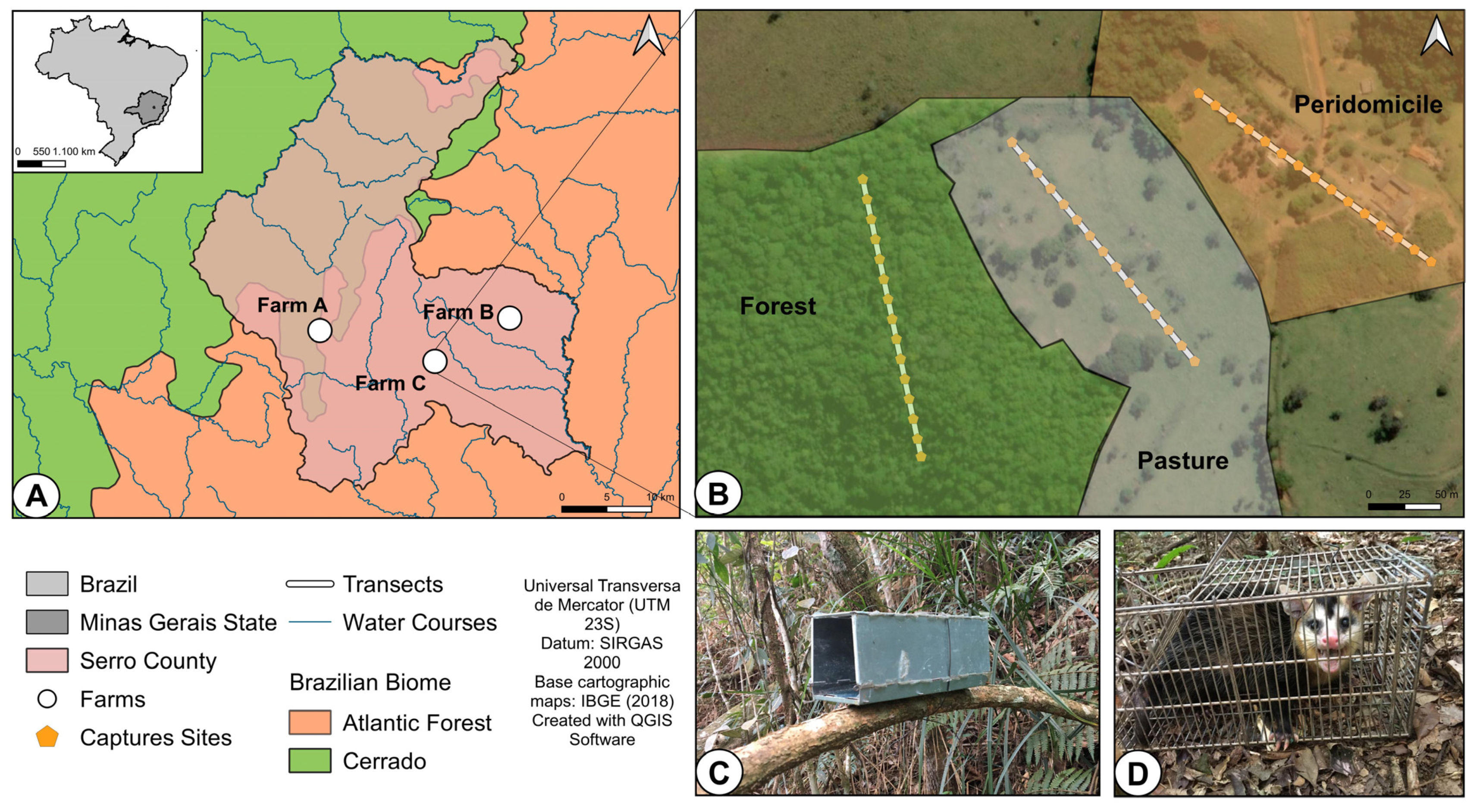 Viruses 15 00842 g001