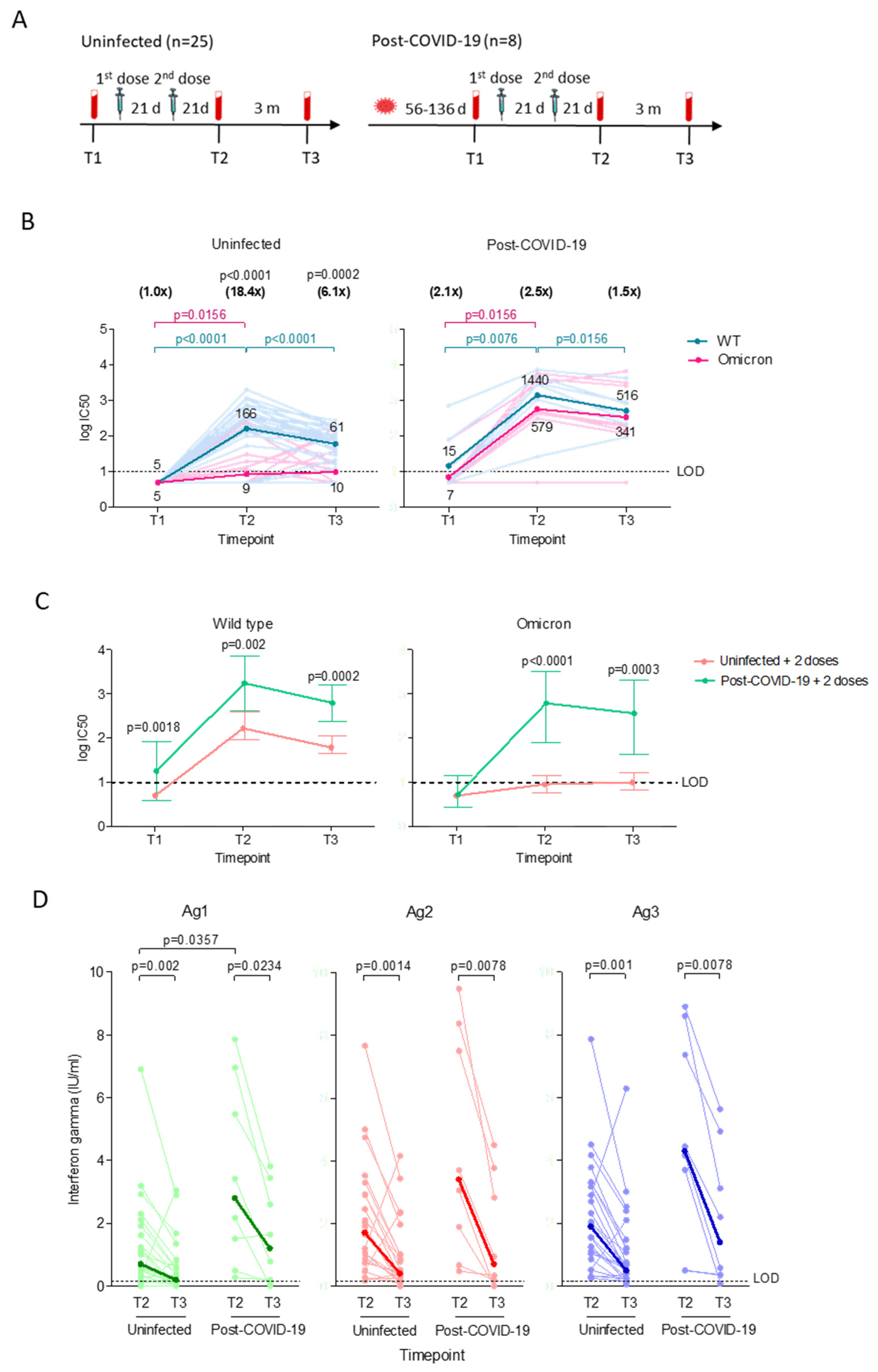 Viruses 15 00844 g001