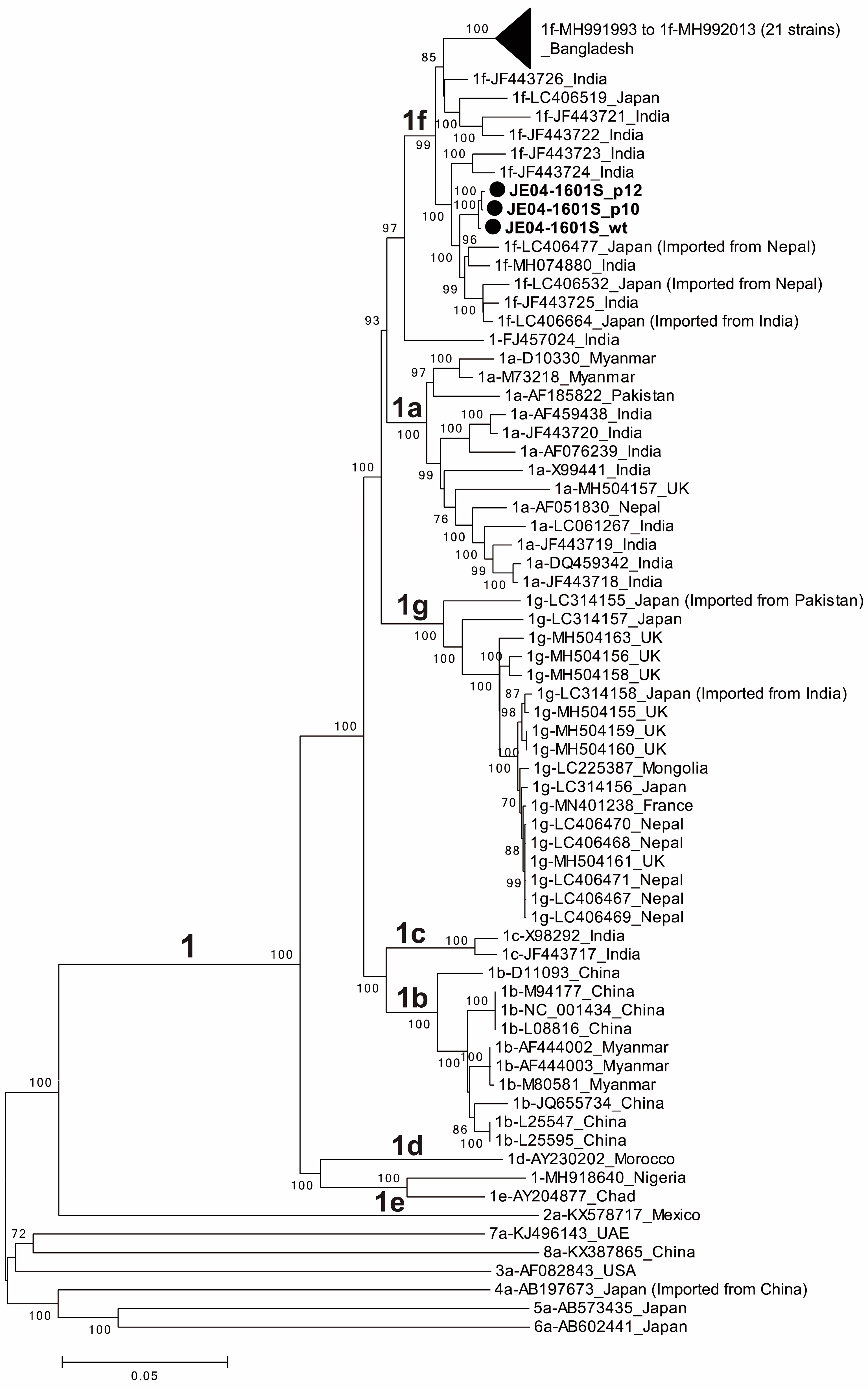 Viruses 15 00845 g002