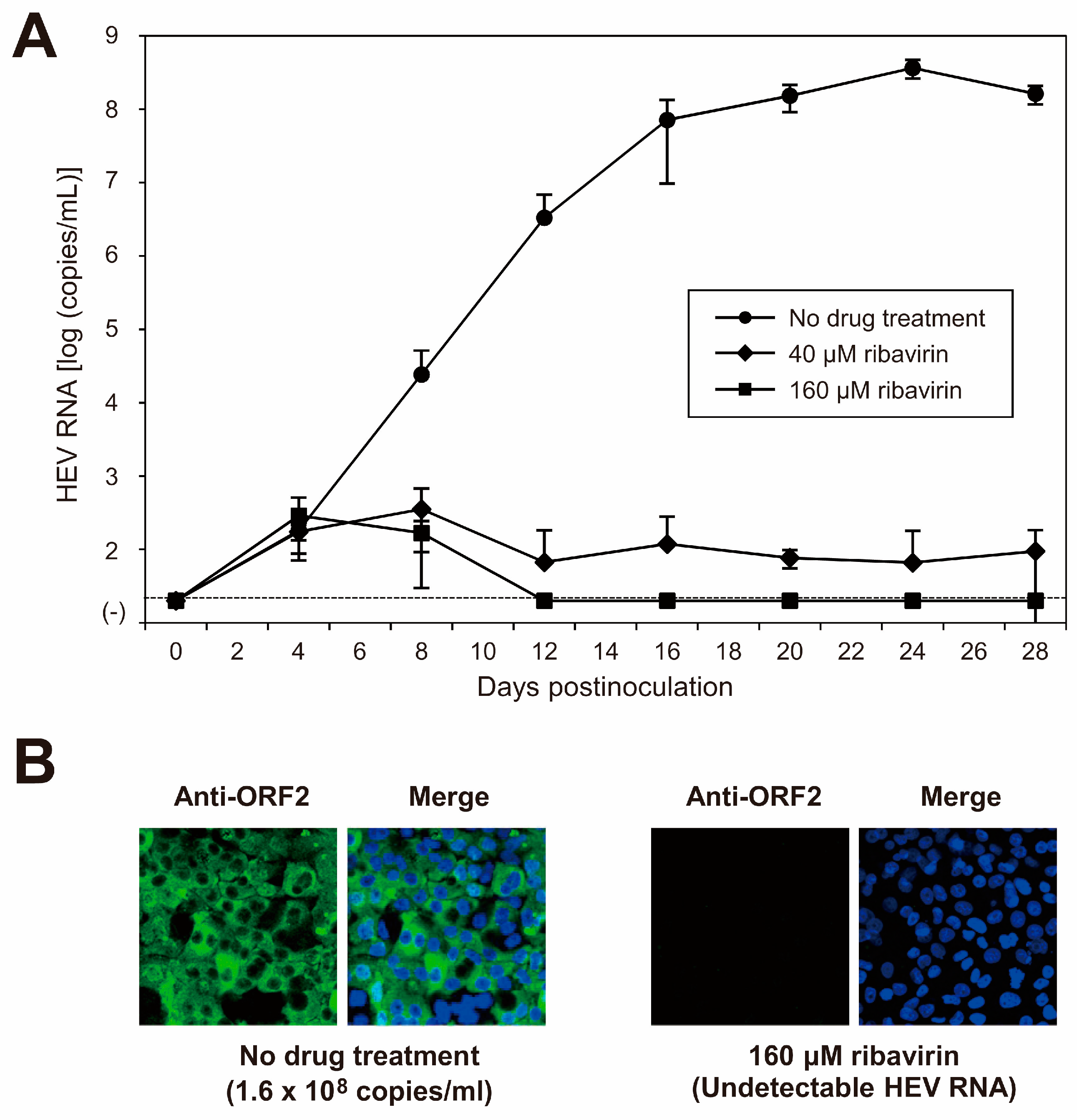 Viruses 15 00845 g007