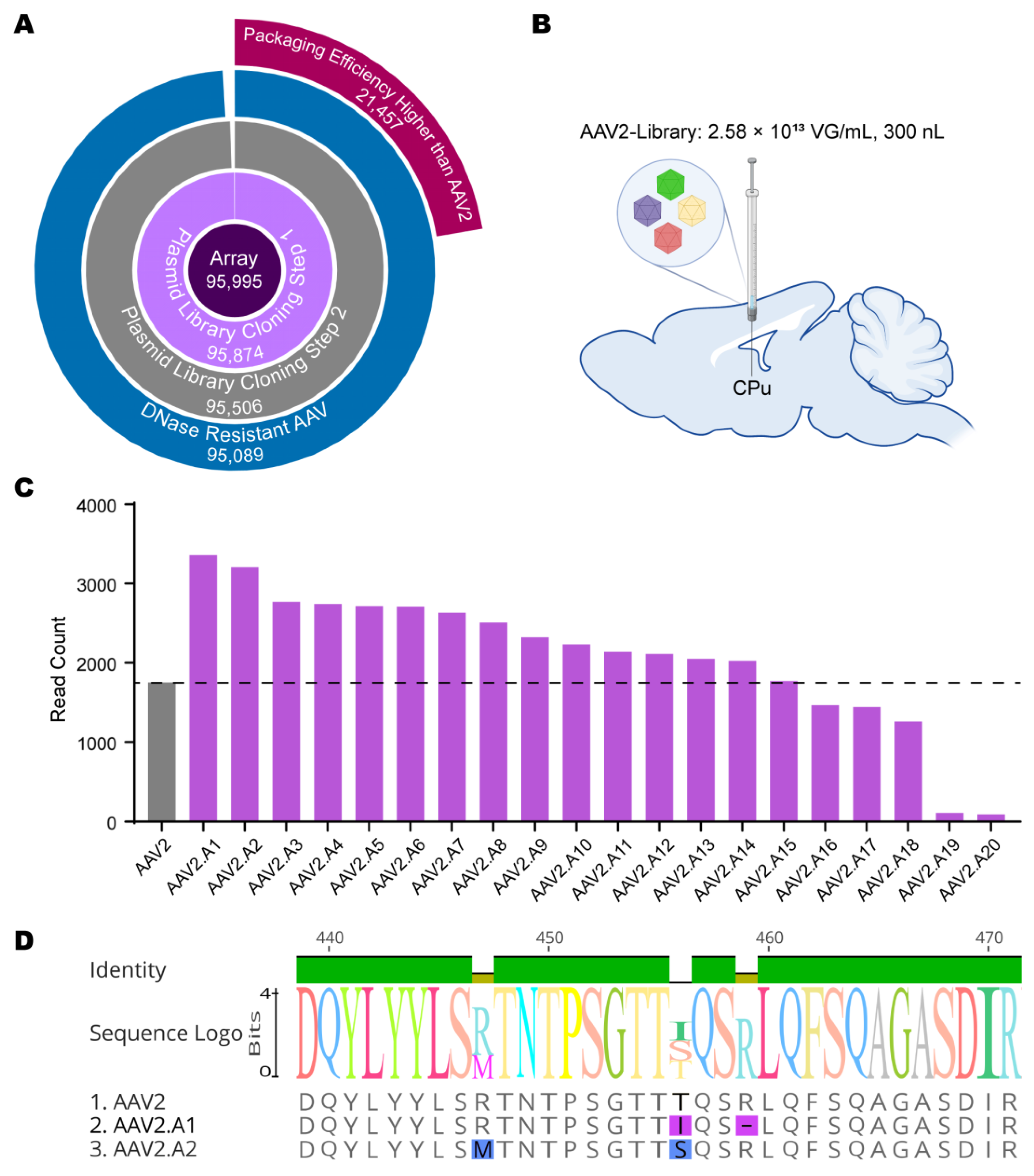 Viruses 15 00848 g004 Viruses 15 00848 g004