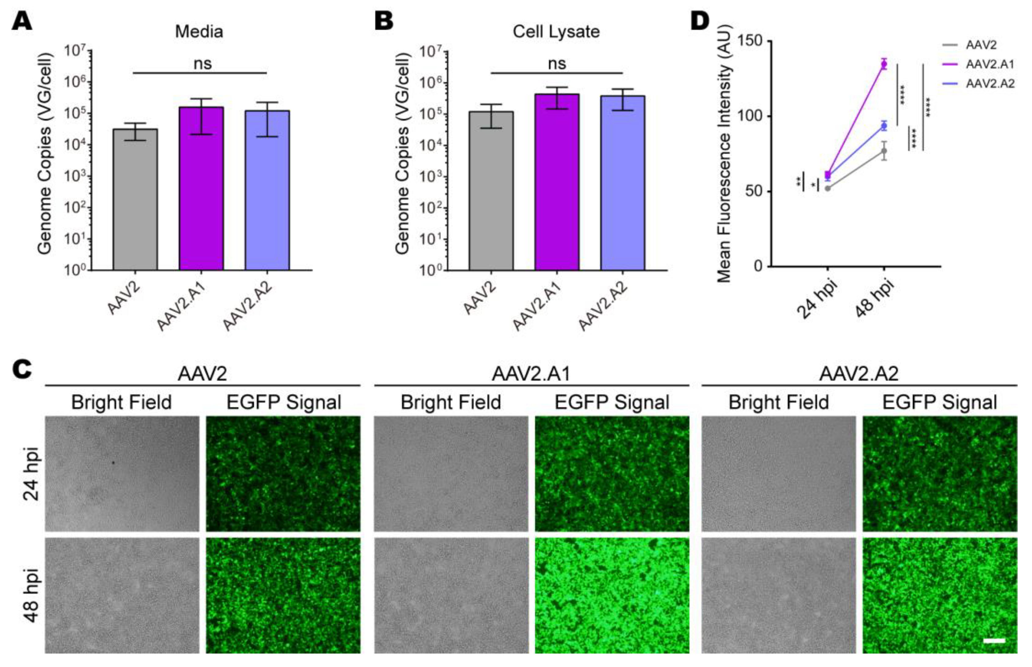 Viruses 15 00848 g005 Viruses 15 00848 g005