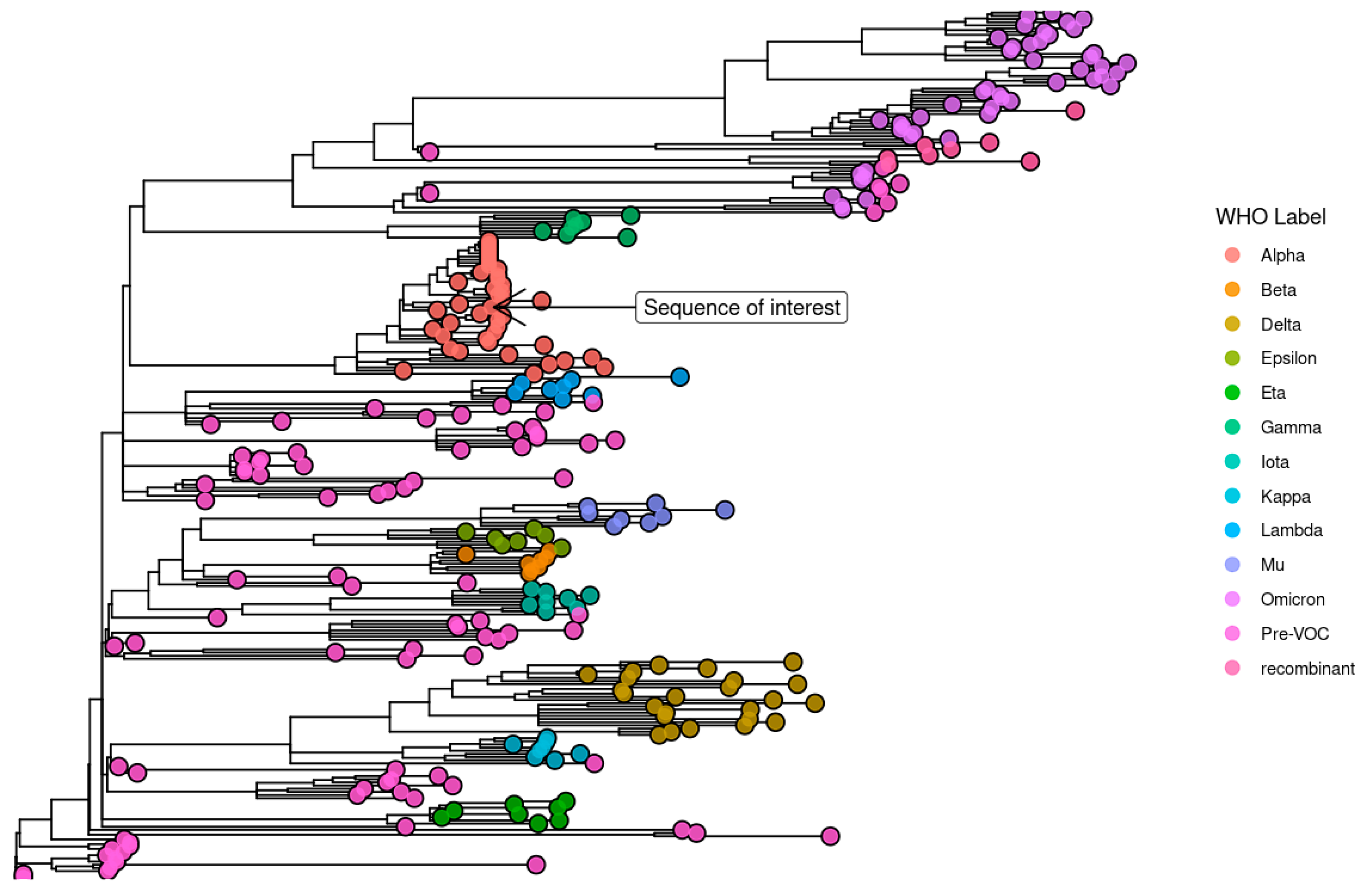 Viruses 15 00855 g006 Viruses 15 00855 g006
