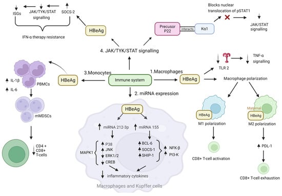 Viruses 15 00857 g003