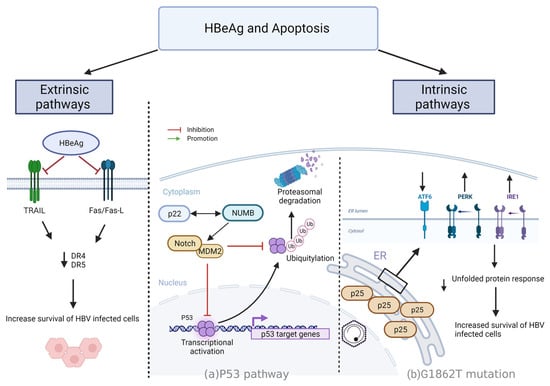 Viruses 15 00857 g004