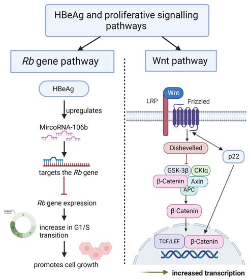 Viruses 15 00857 g005