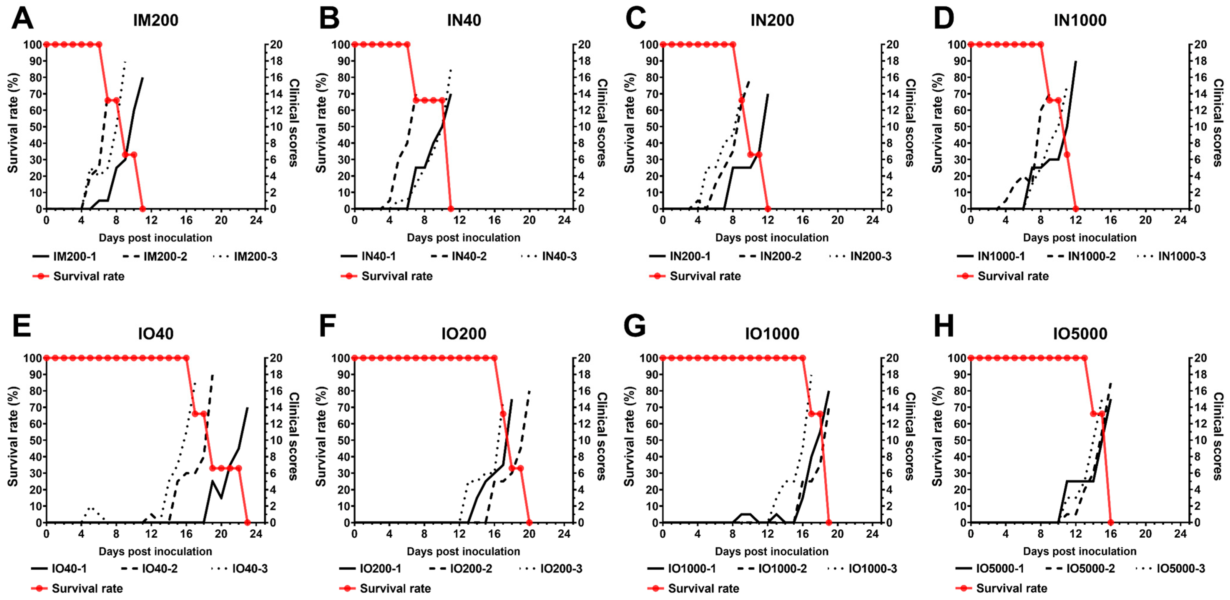Viruses 15 00858 g001