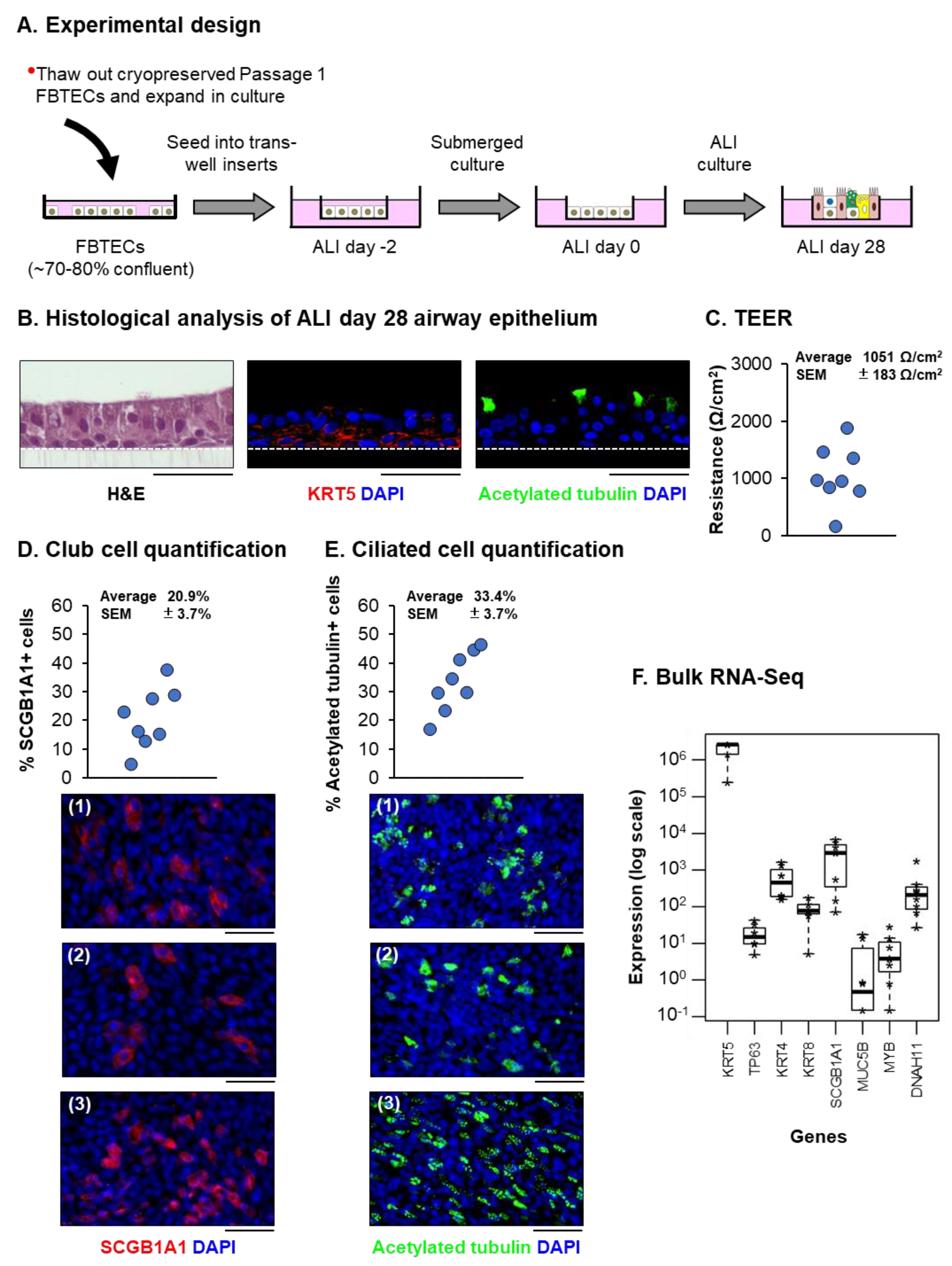 Viruses 15 00862 g002 Viruses 15 00862 g002