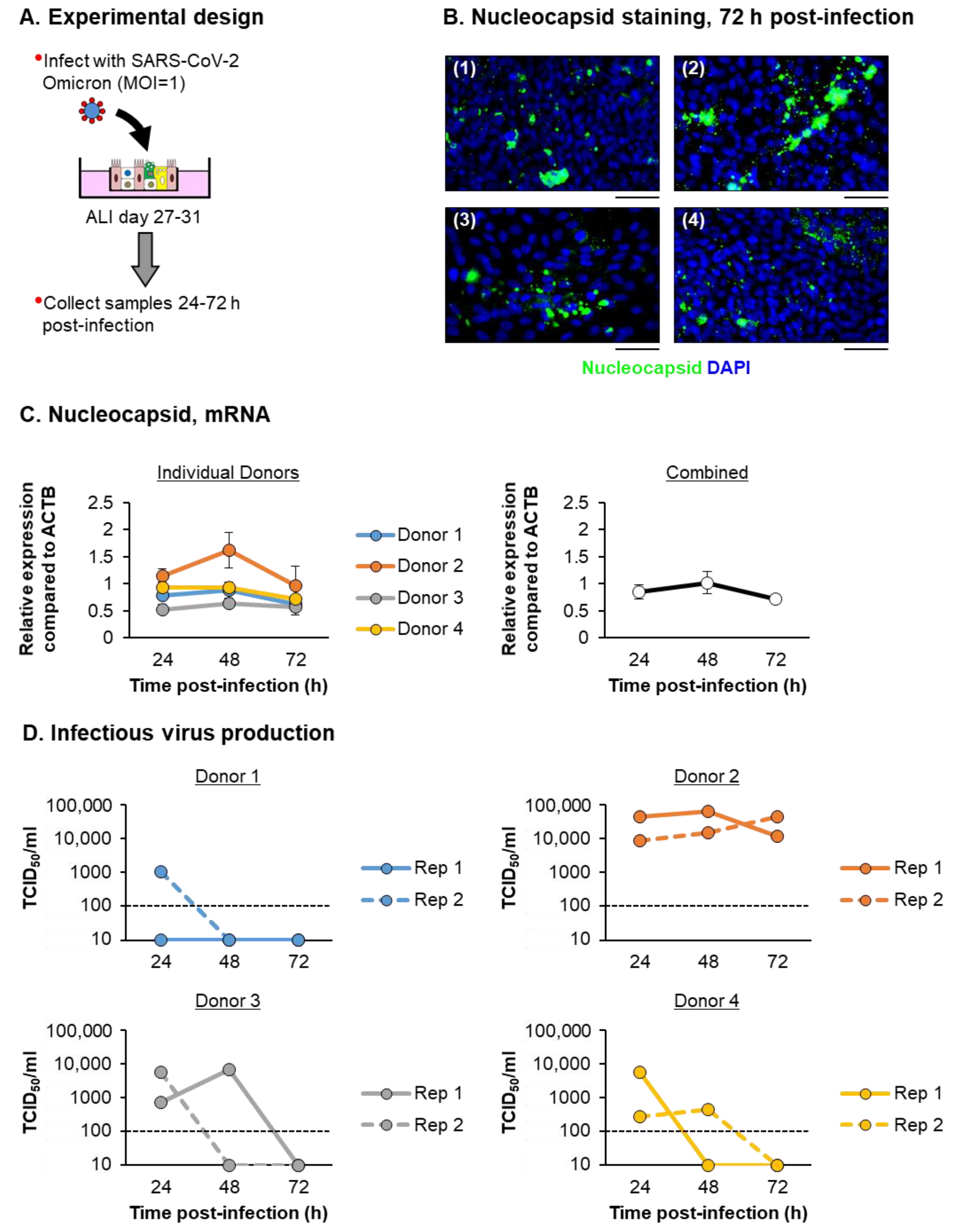 Viruses 15 00862 g004 Viruses 15 00862 g004