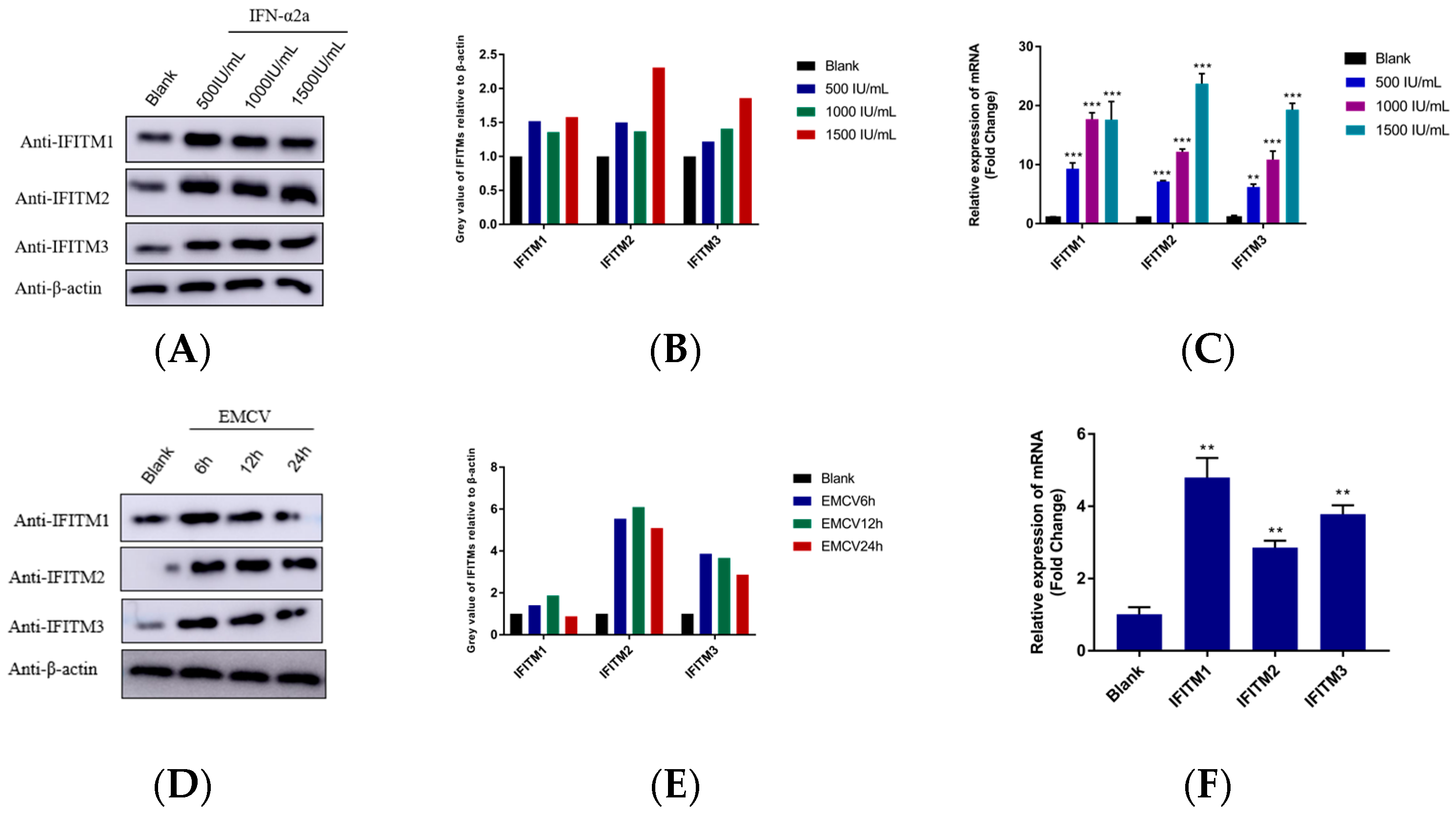 Viruses 15 00866 g001
