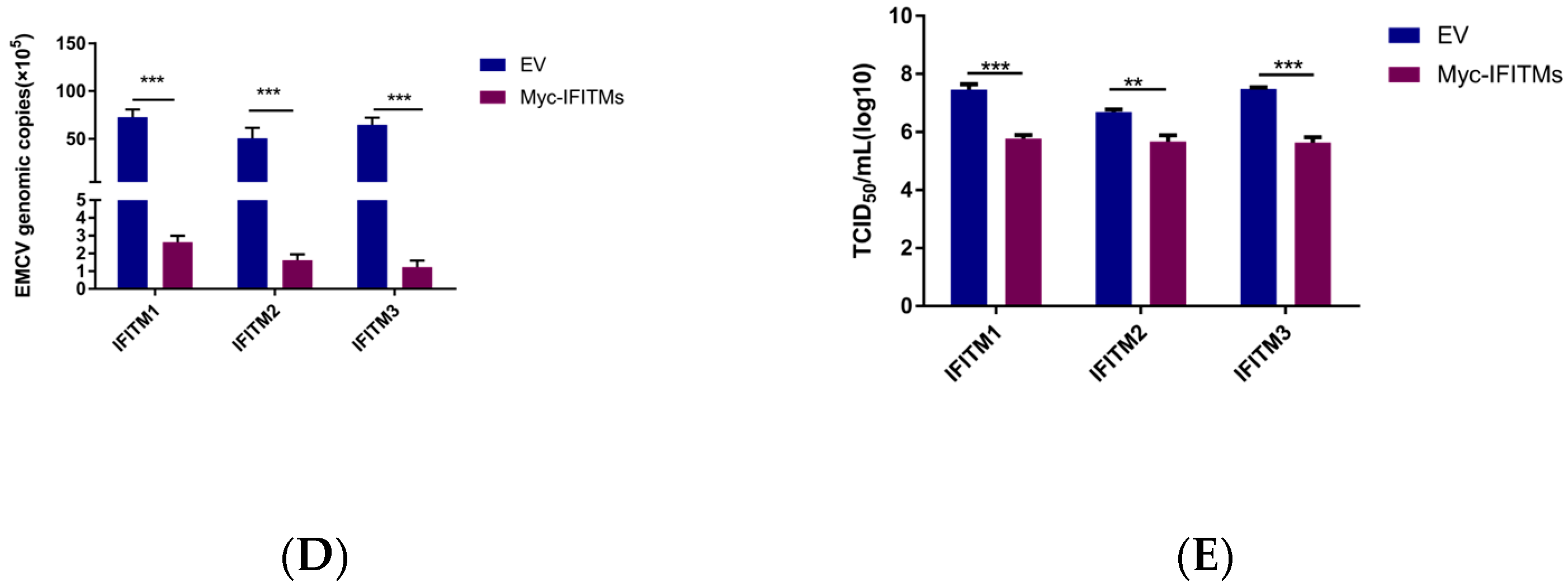 Viruses 15 00866 g002b