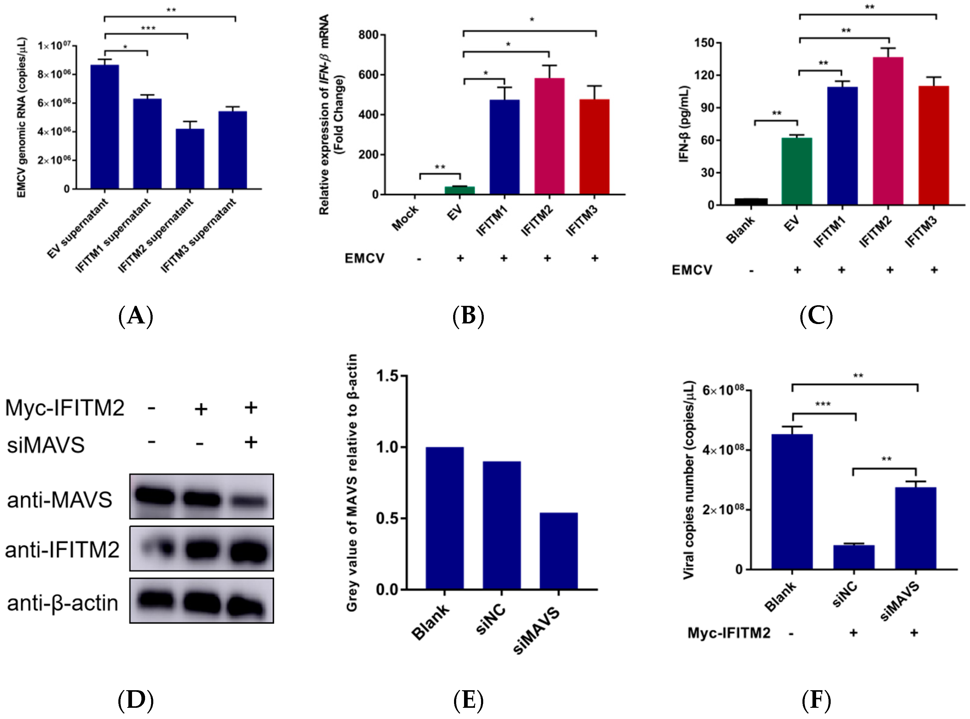 Viruses 15 00866 g004