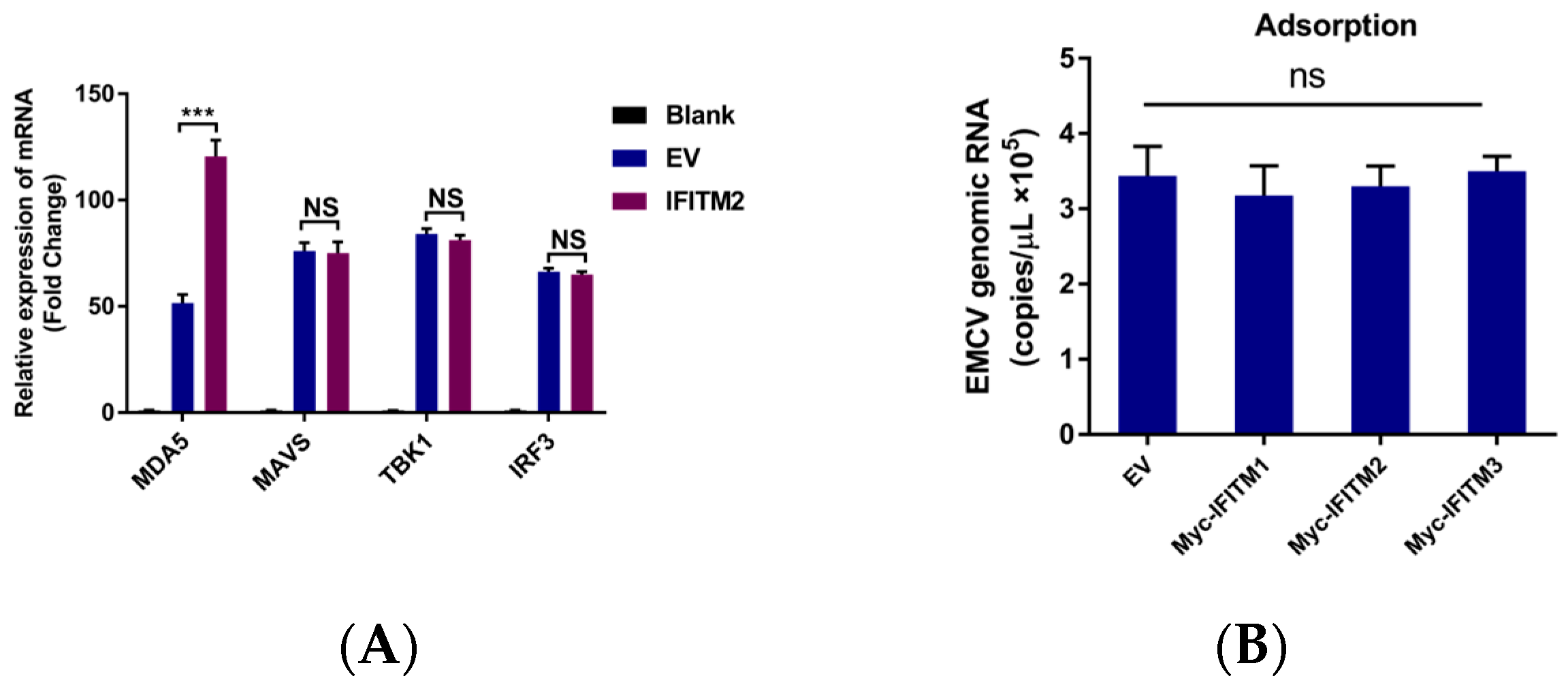 Viruses 15 00866 g005a