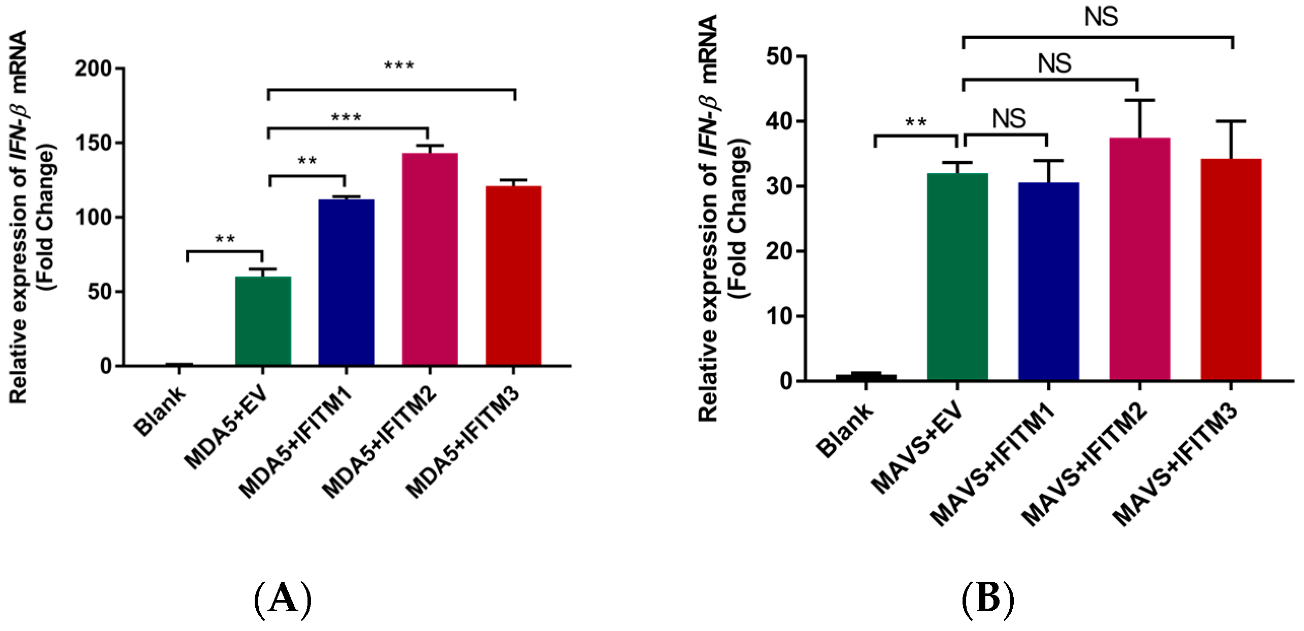 Viruses 15 00866 g006a
