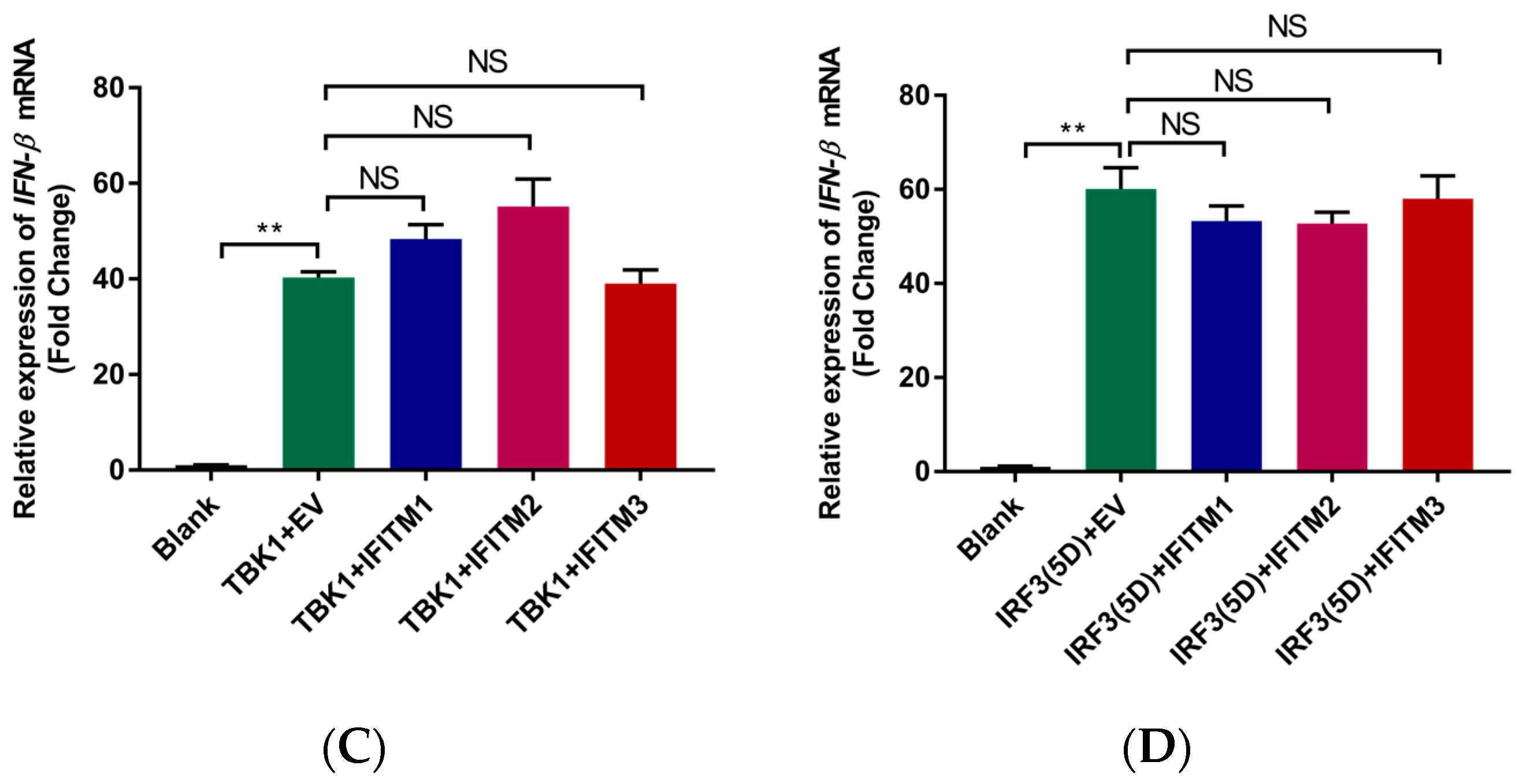 Viruses 15 00866 g006b