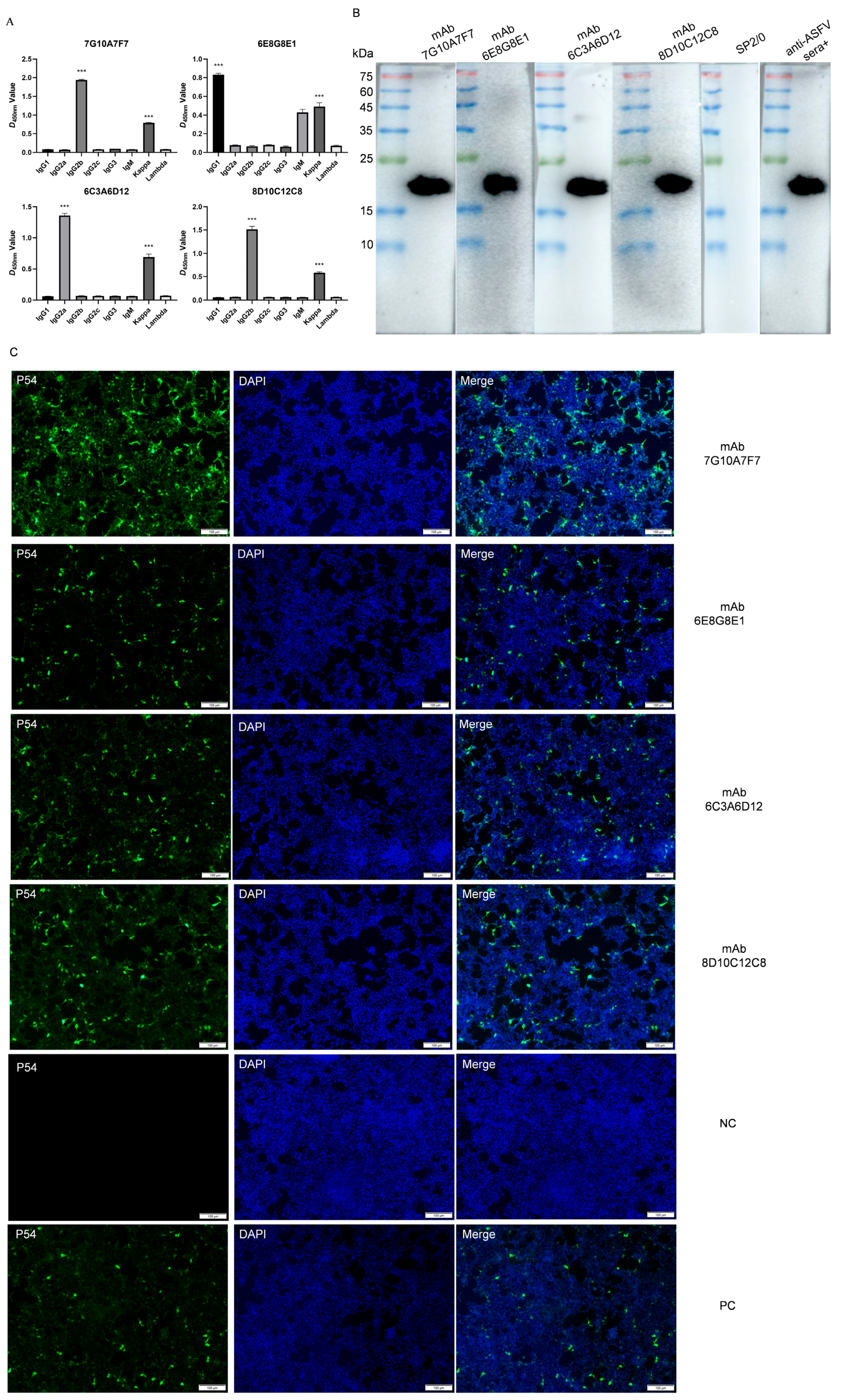 Viruses 15 00867 g003 Viruses 15 00867 g003