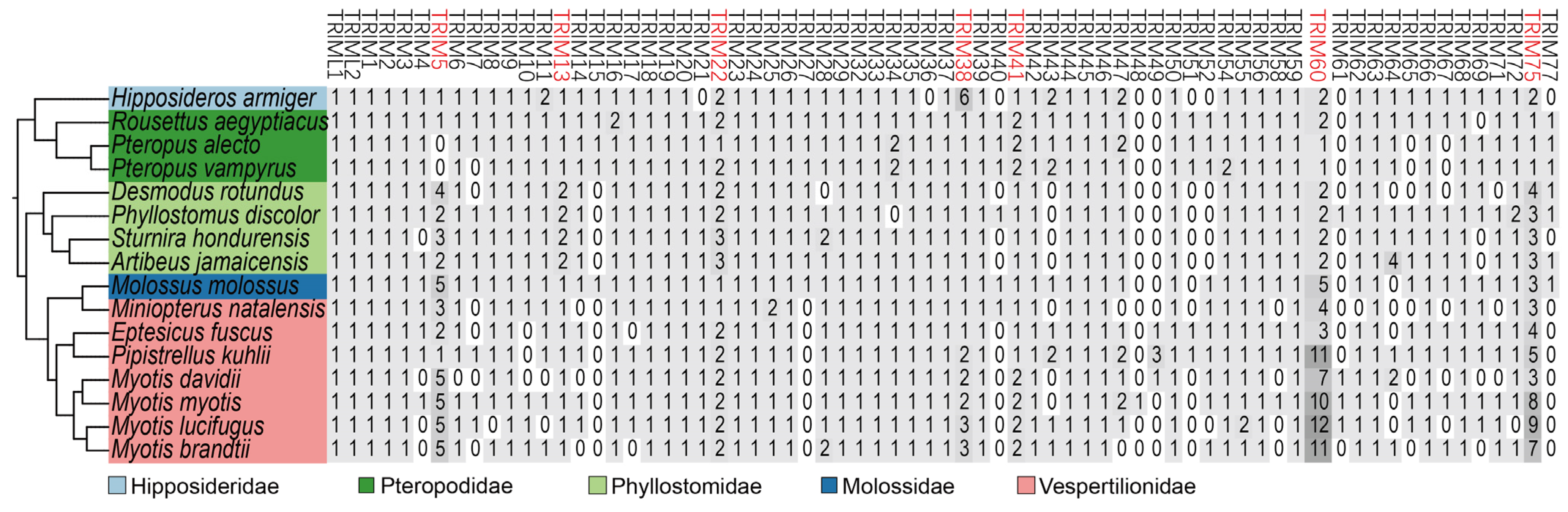 Viruses 15 00875 g001