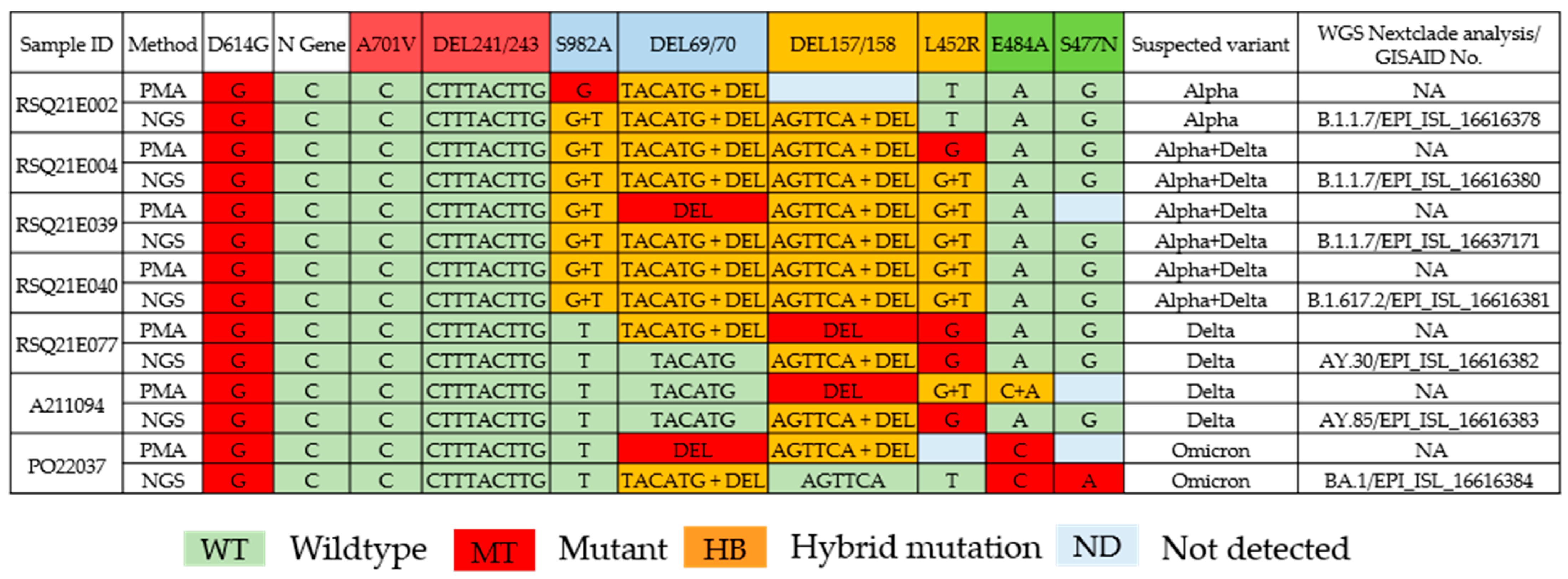 Viruses 15 00876 g003