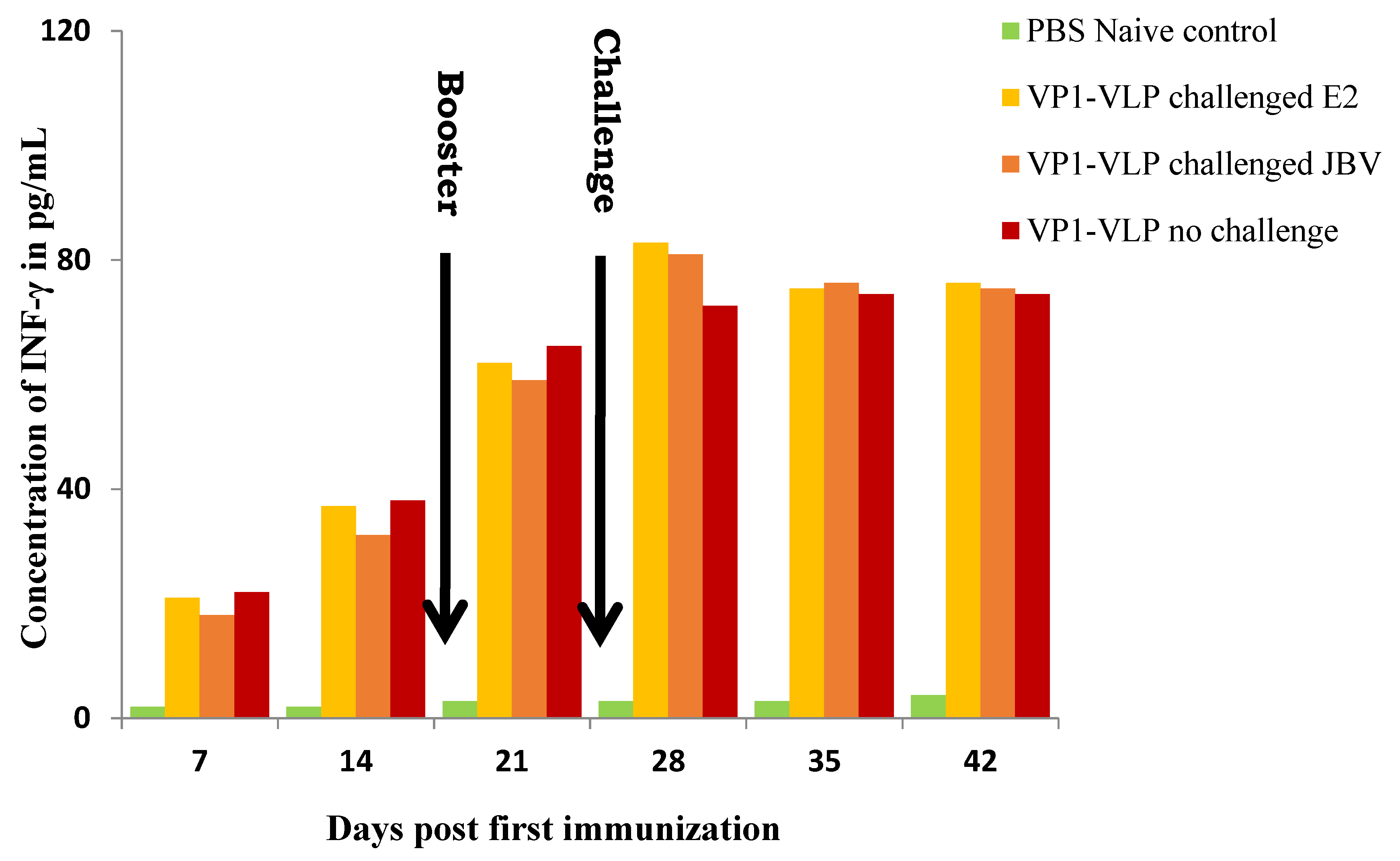 Viruses 15 00878 g006