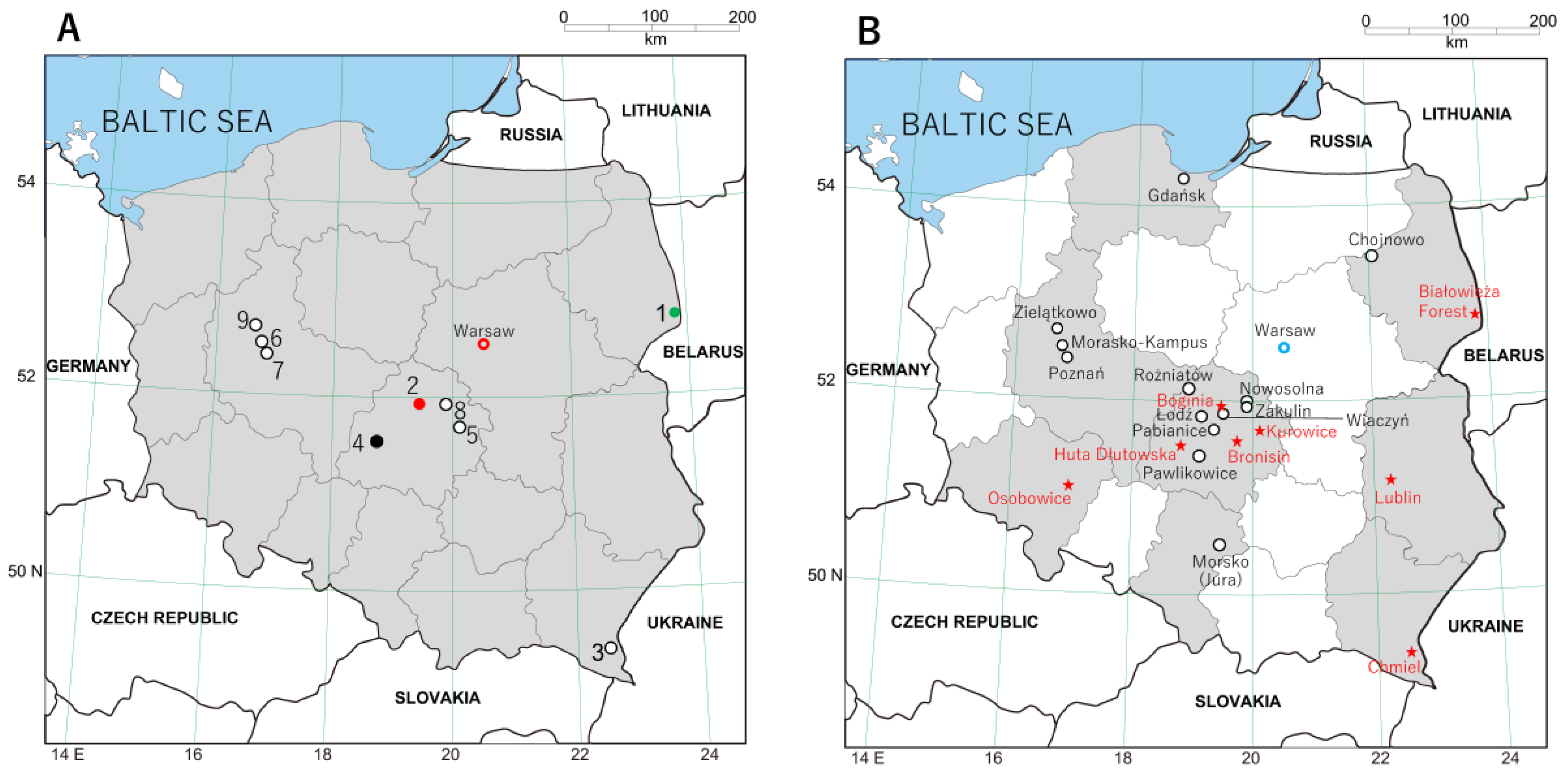 Viruses 15 00881 g001