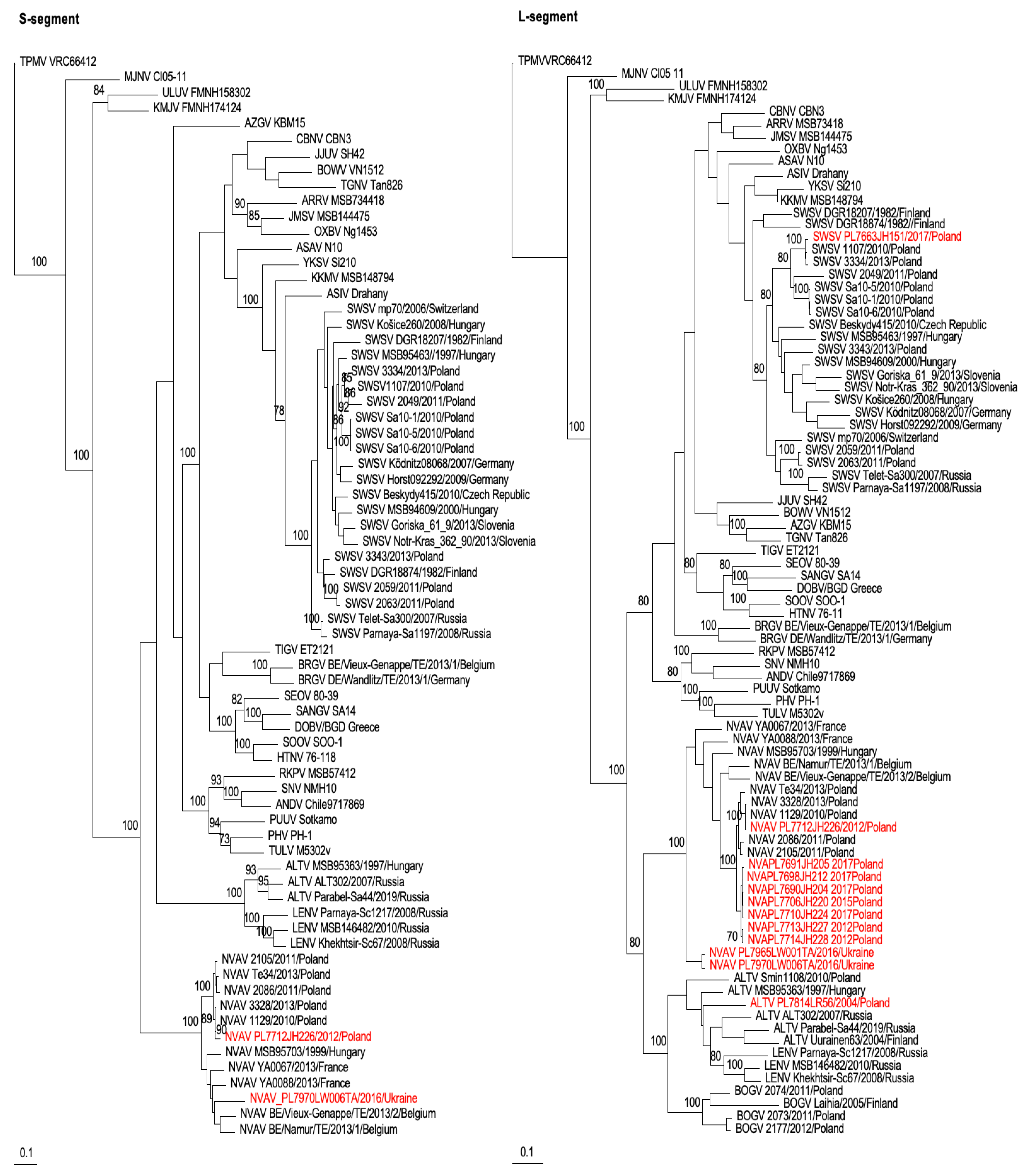 Viruses 15 00881 g002