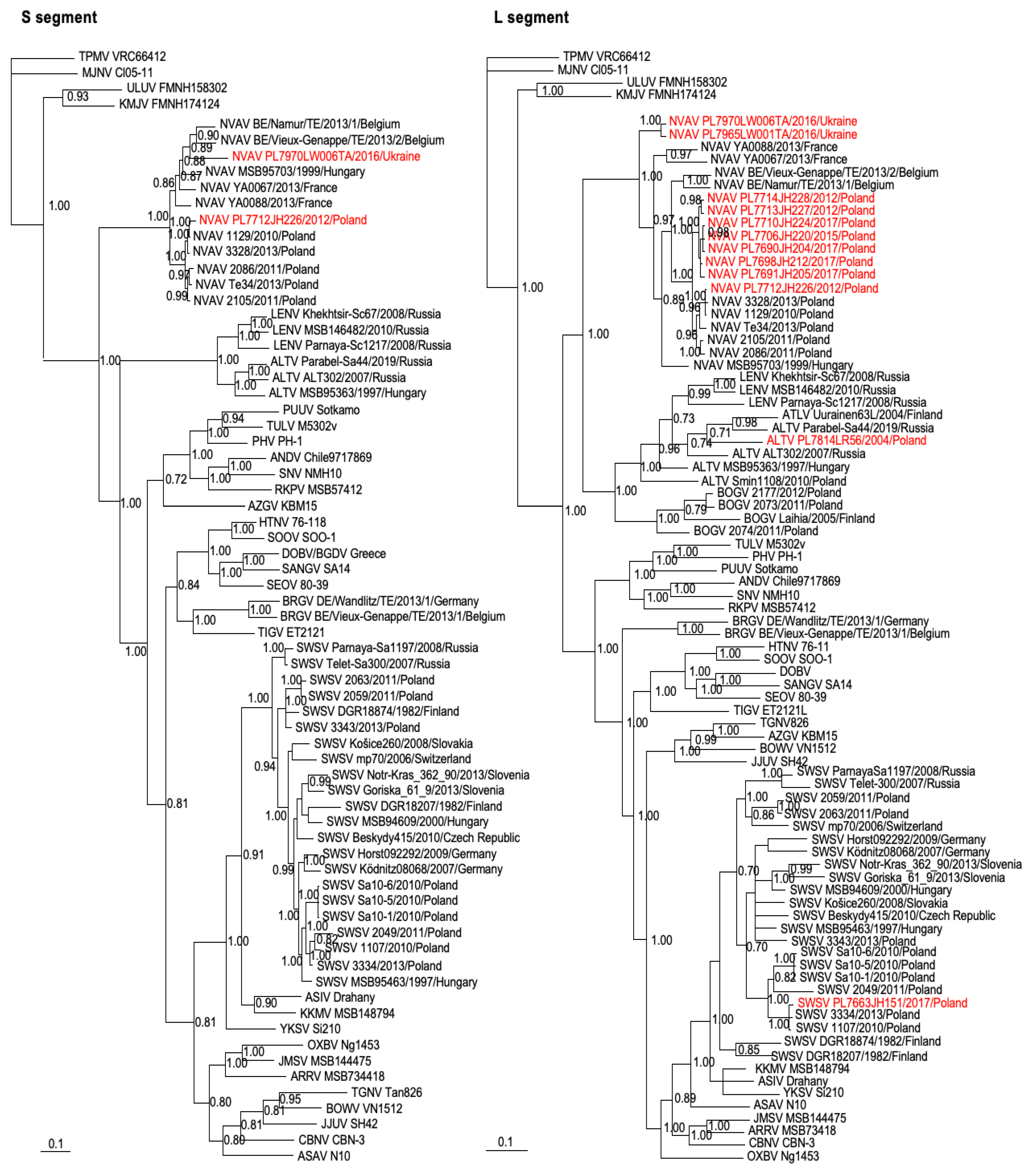 Viruses 15 00881 g003