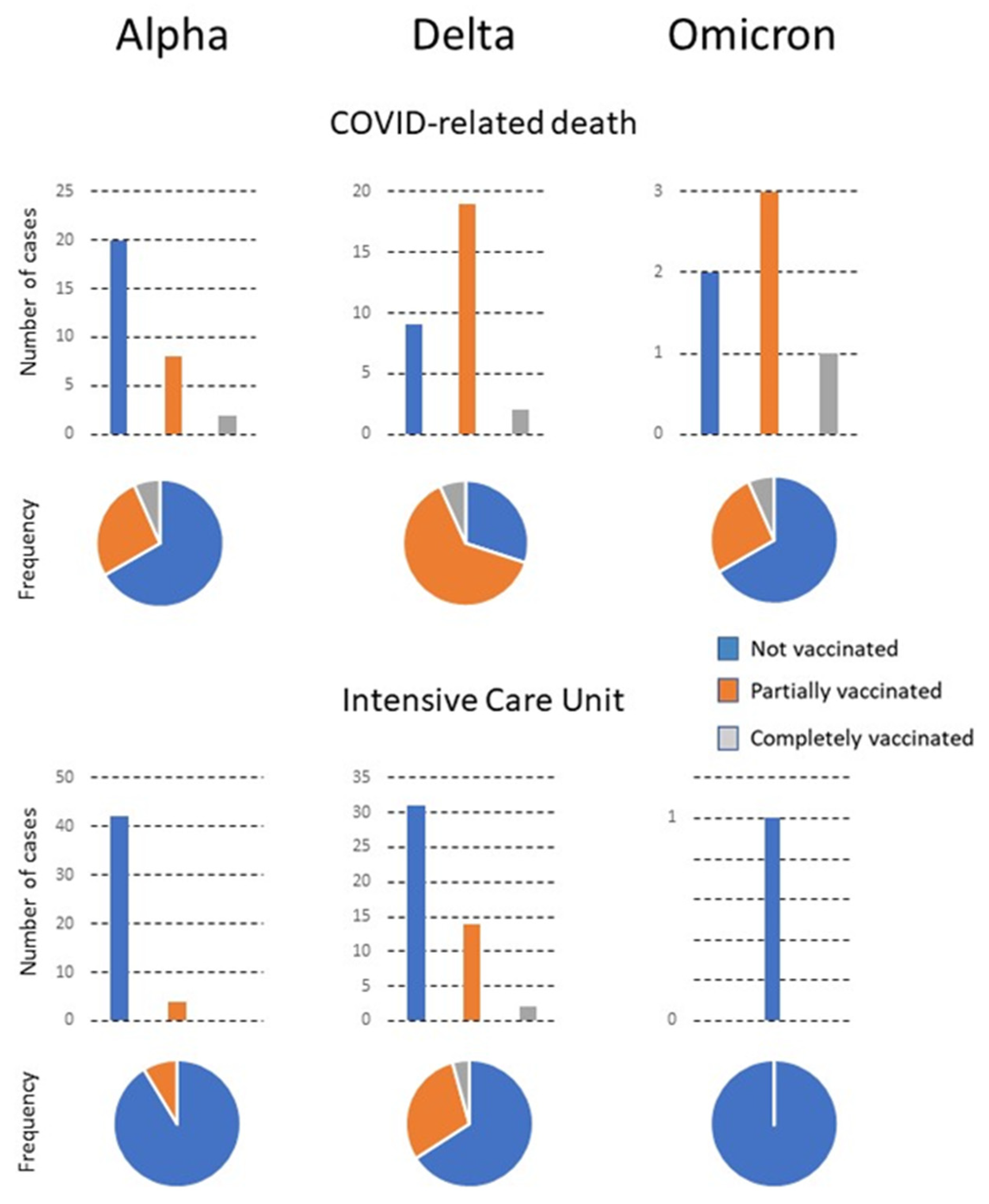 Viruses 15 00886 g002