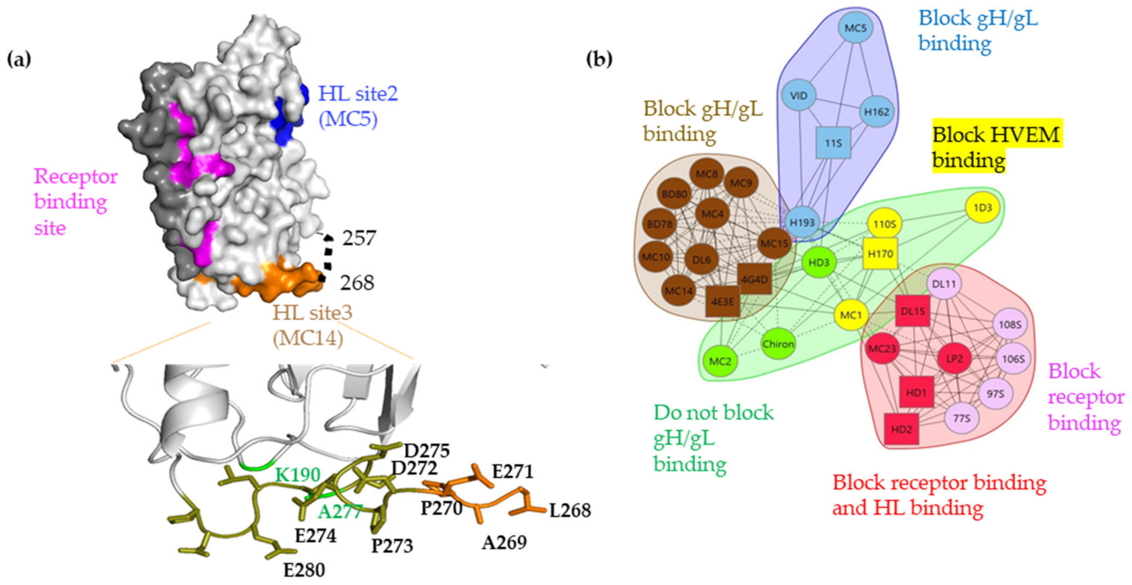 Viruses 15 00895 g001 Viruses 15 00895 g001