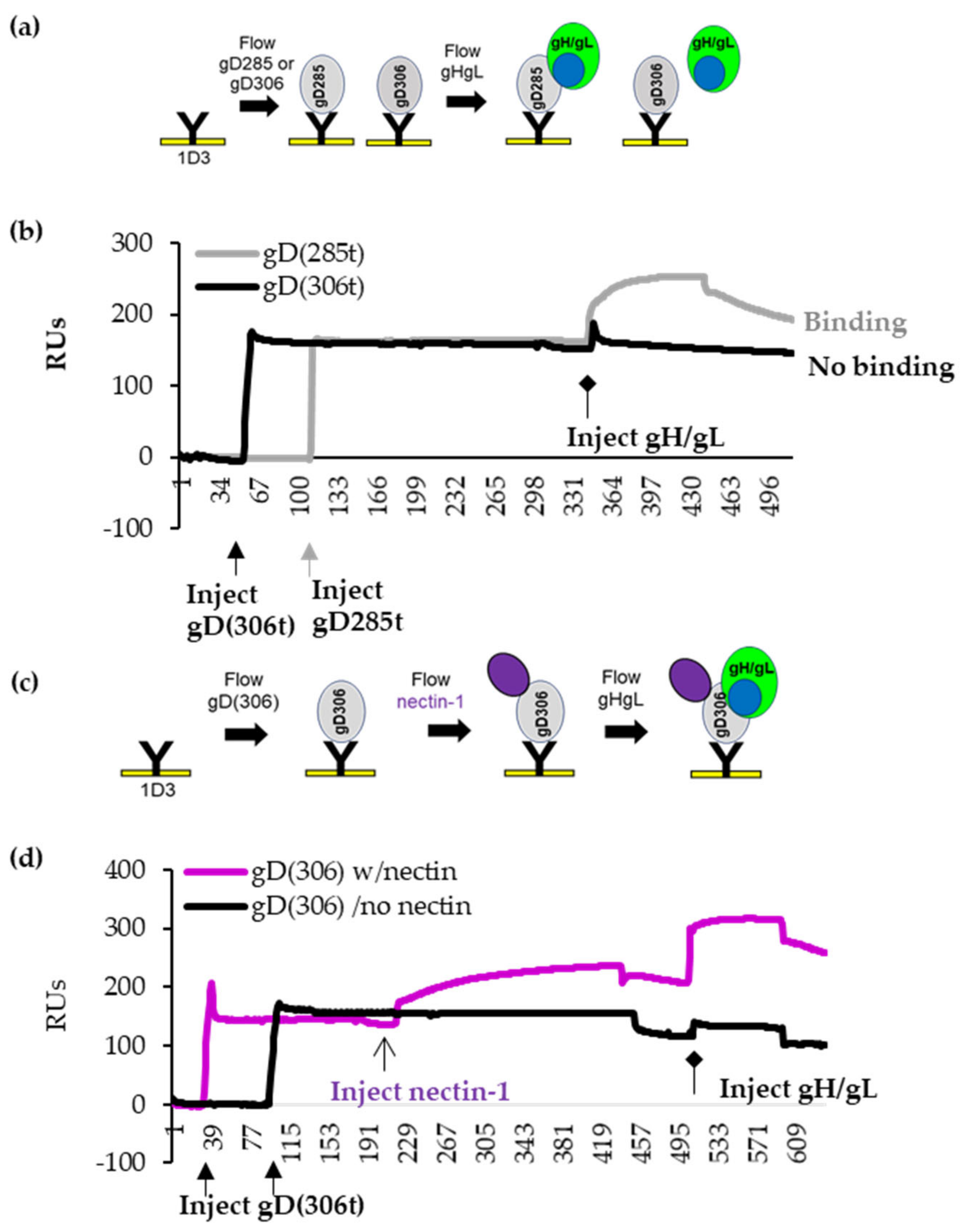 Viruses 15 00895 g002 Viruses 15 00895 g002