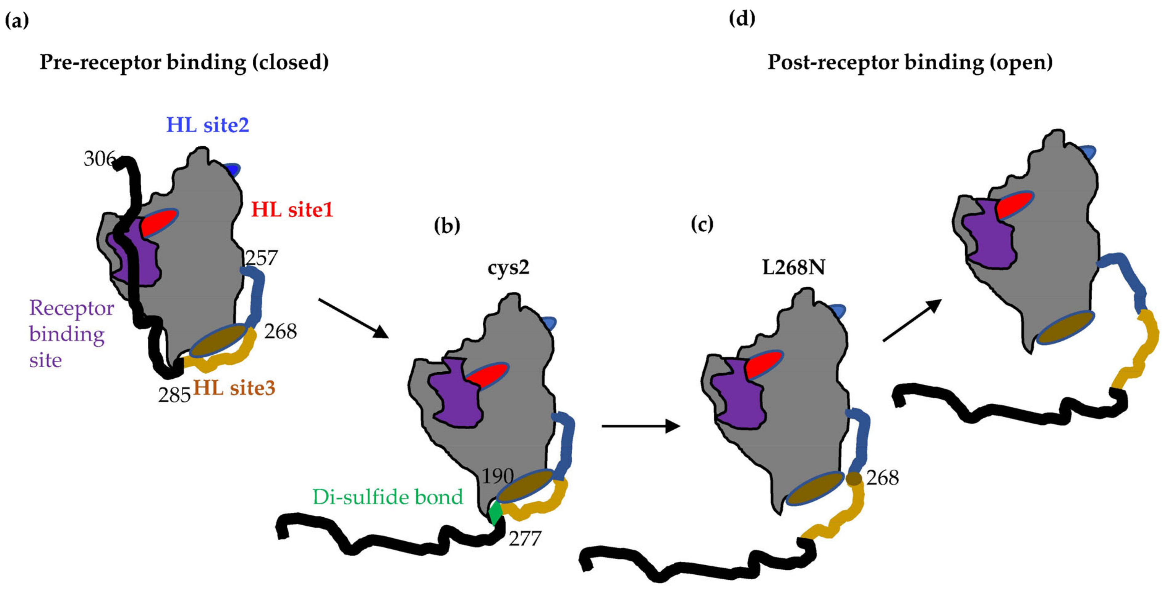 Viruses 15 00895 g007 Viruses 15 00895 g007
