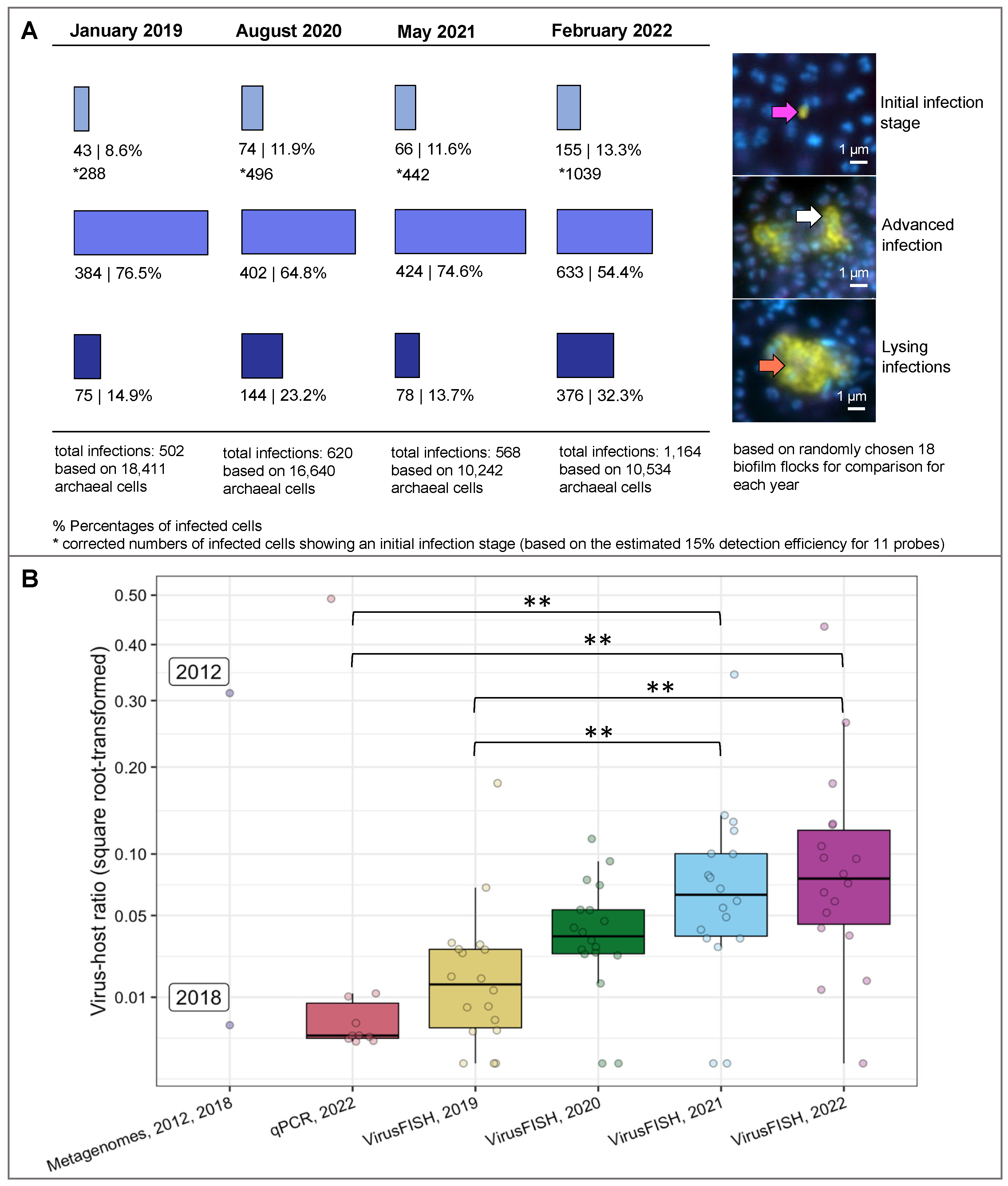 Viruses 15 00910 g001