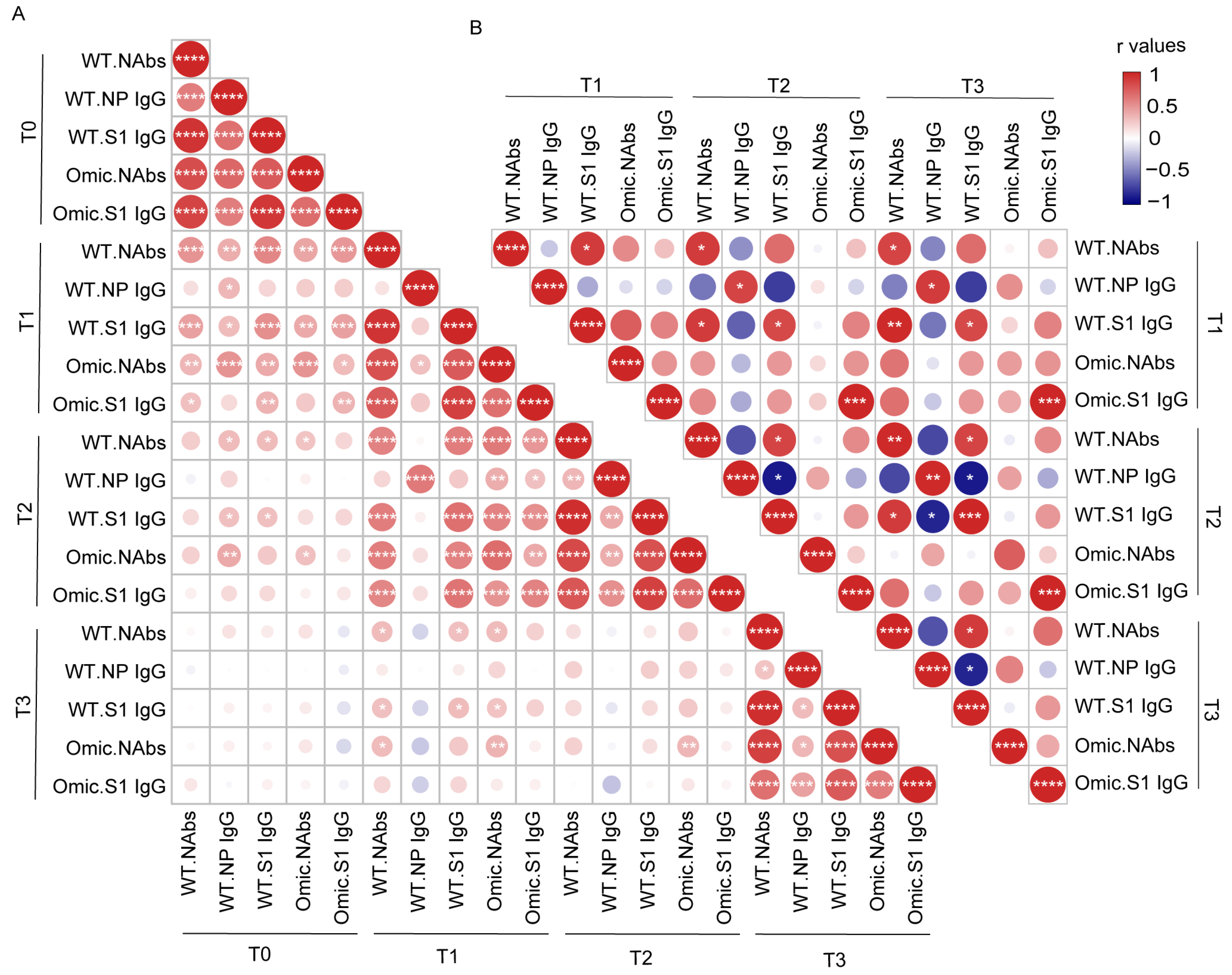 Viruses 15 00917 g003
