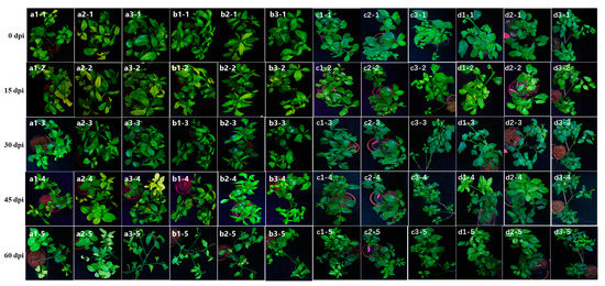 Viruses 15 00918 g0a1