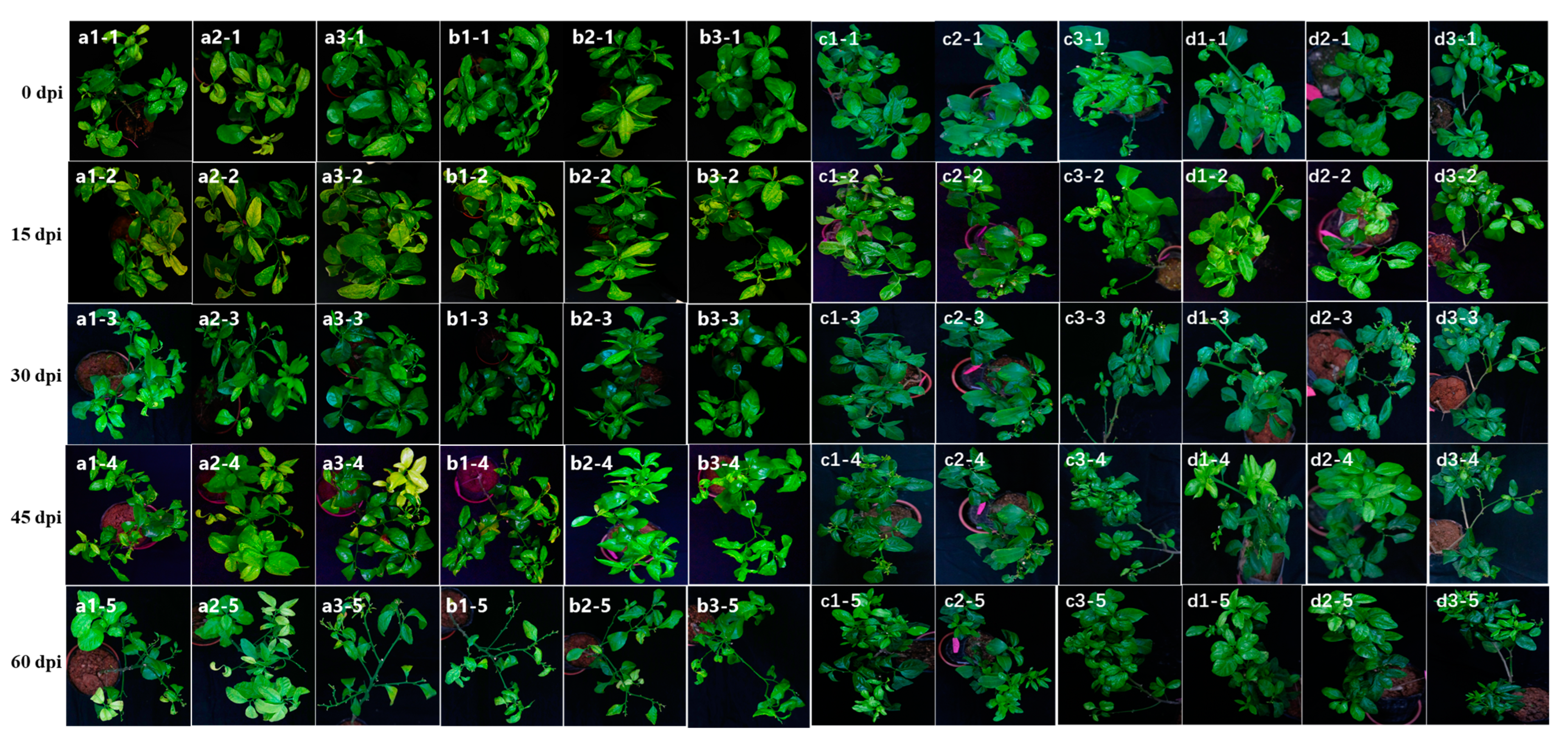 Viruses 15 00918 g0a1 Viruses 15 00918 g0a1