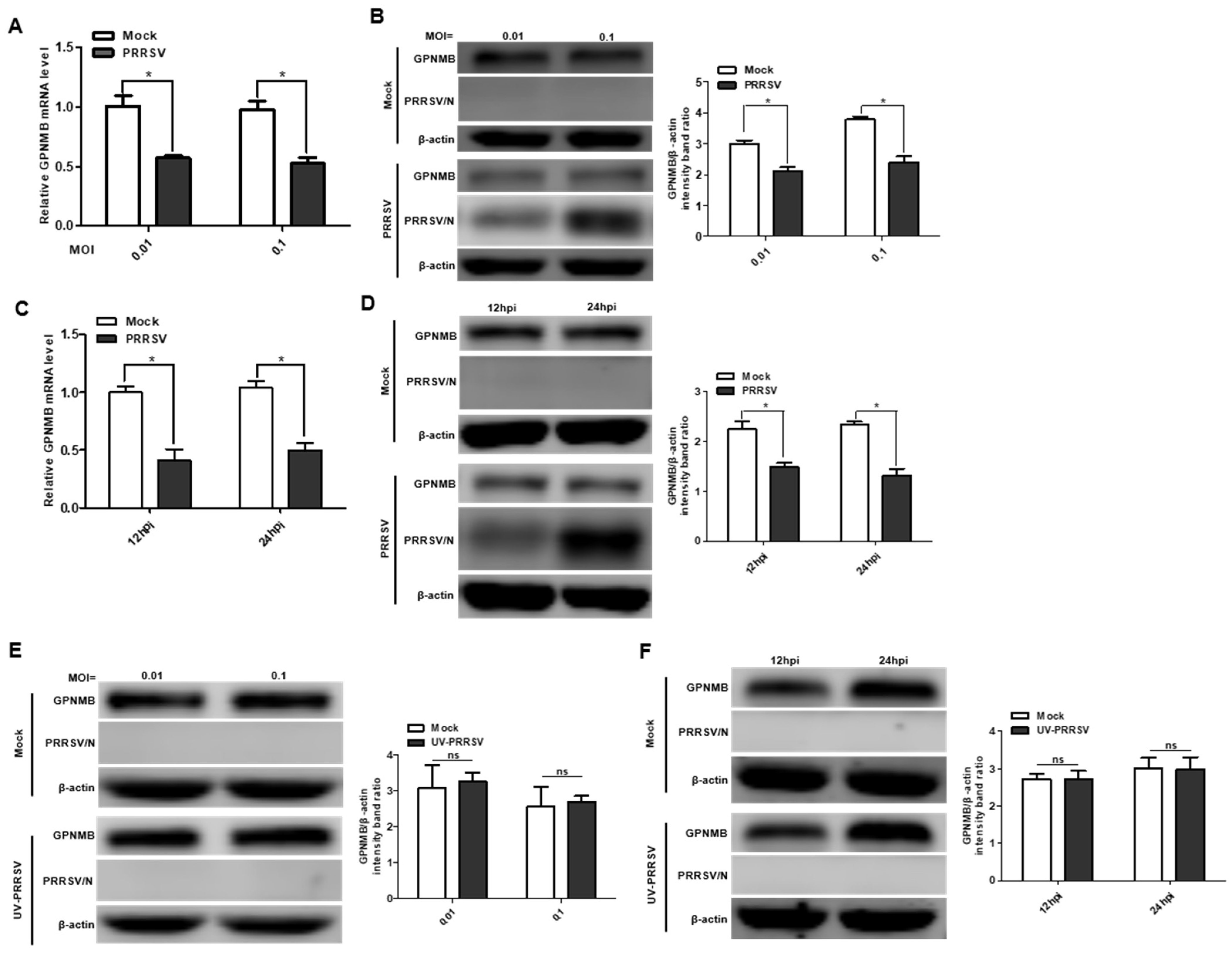 Viruses 15 00920 g001