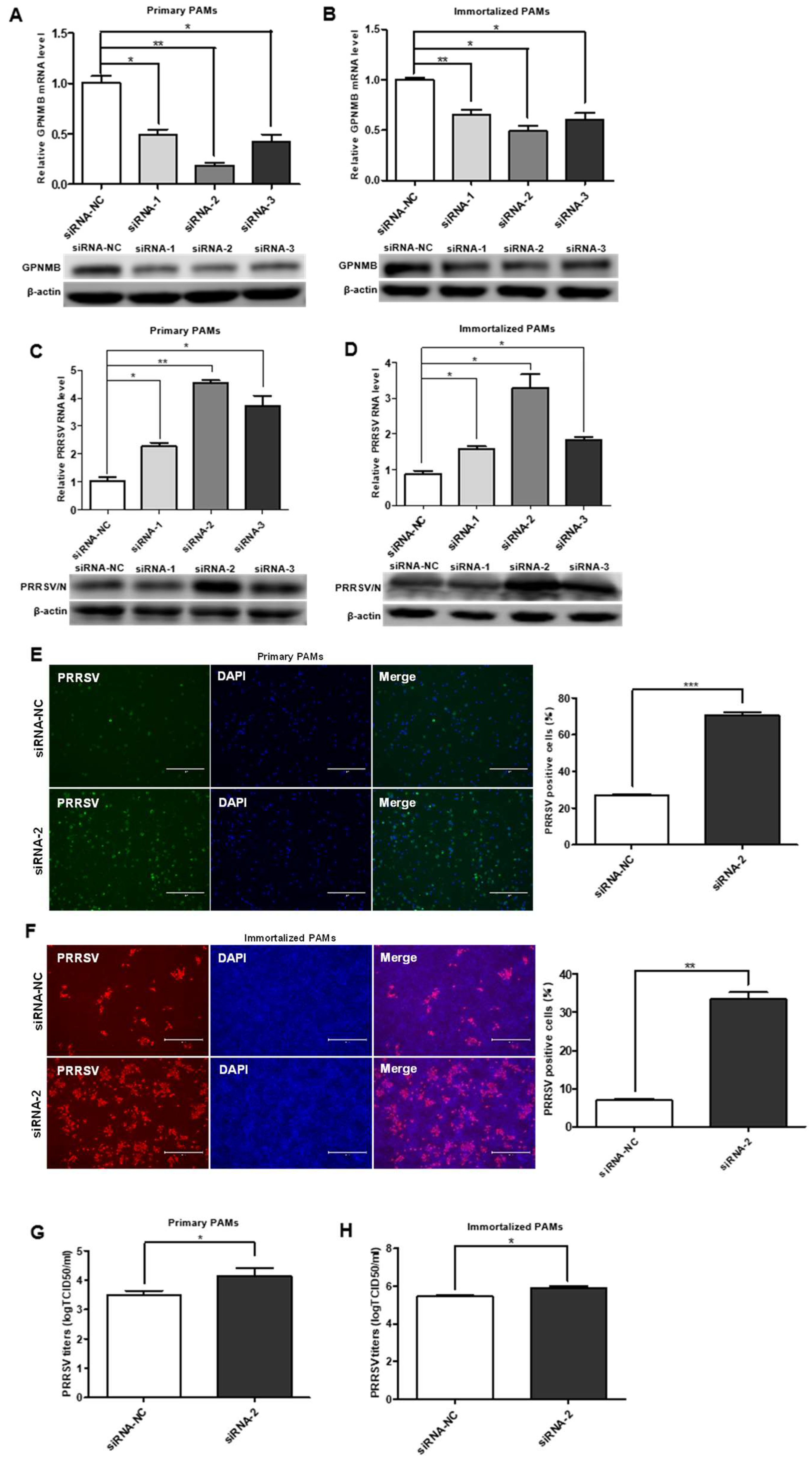 Viruses 15 00920 g002