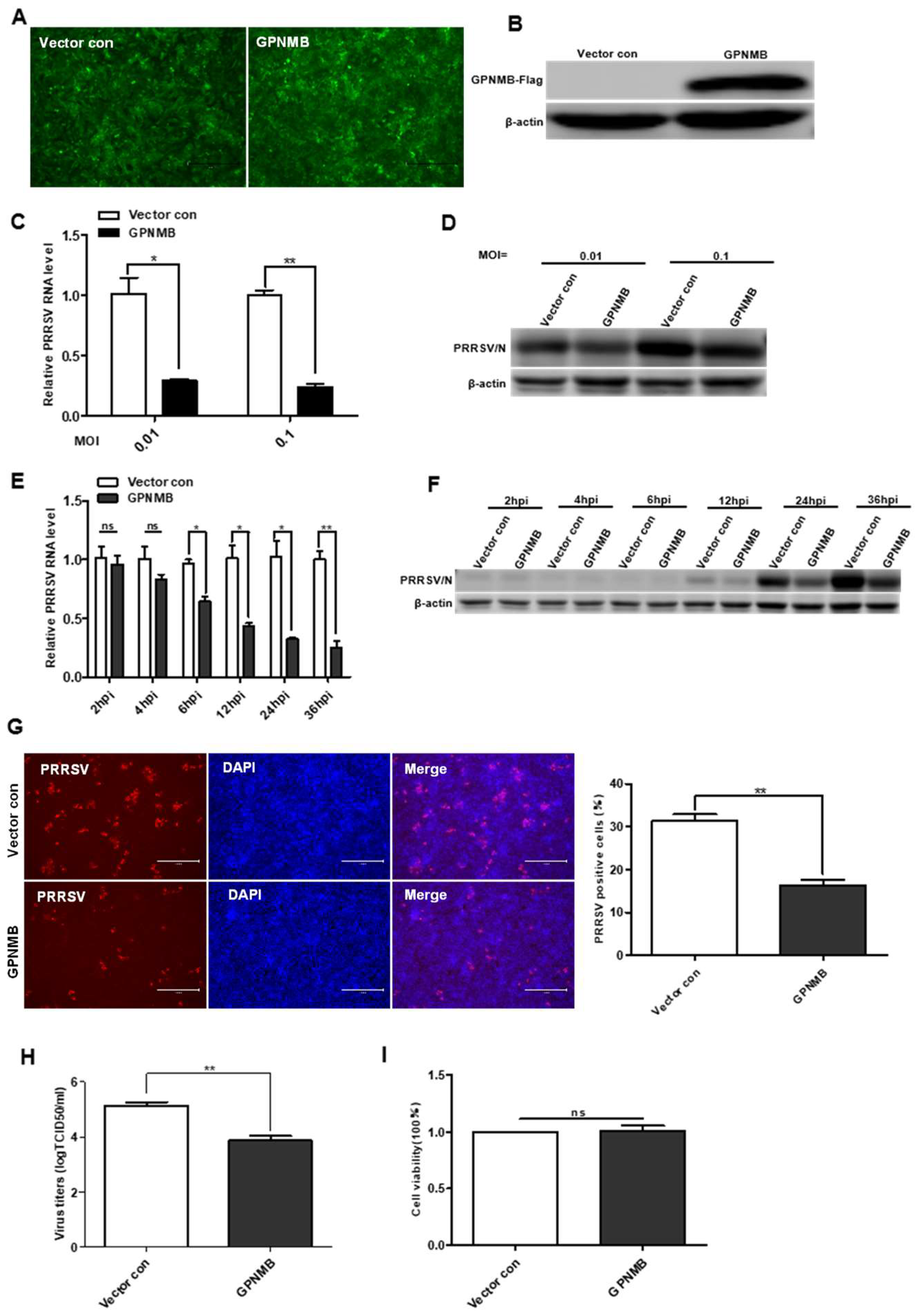 Viruses 15 00920 g003