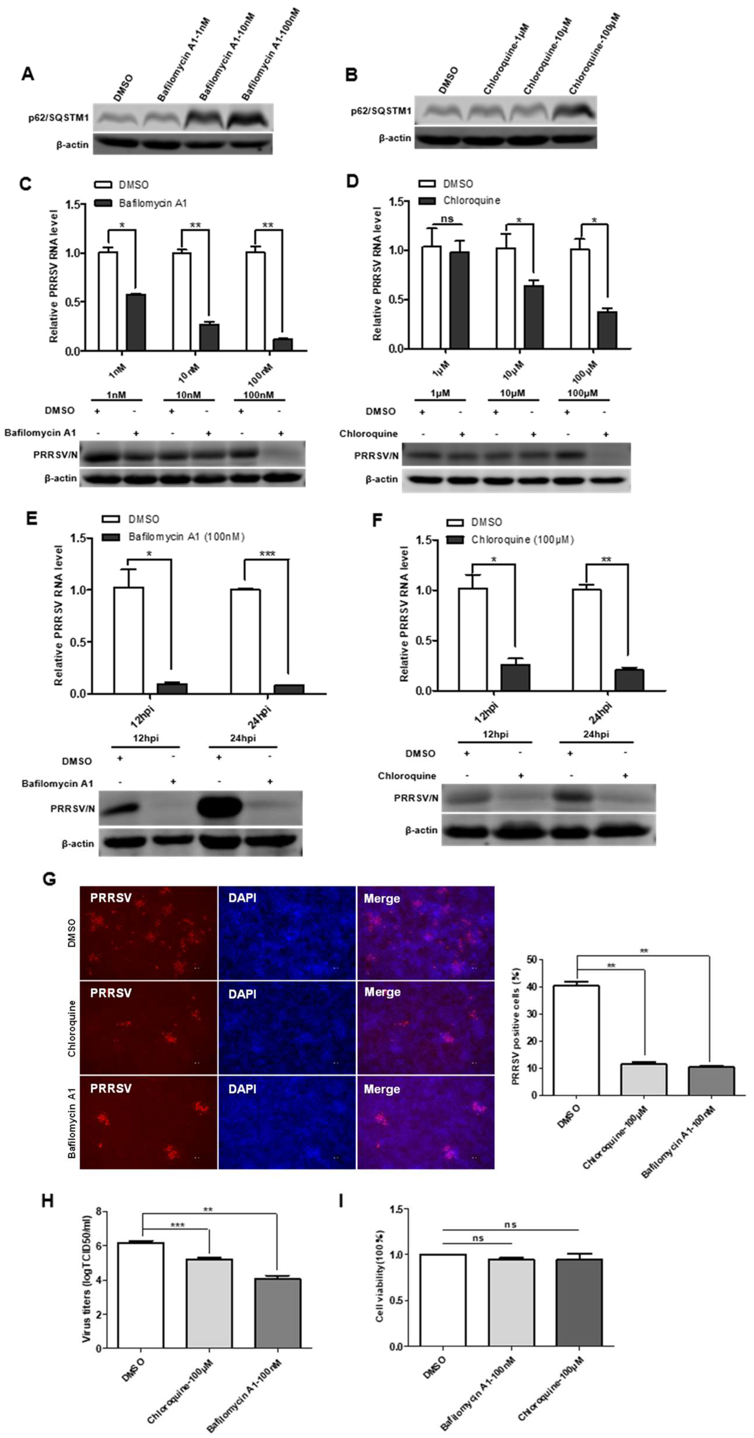 Viruses 15 00920 g006