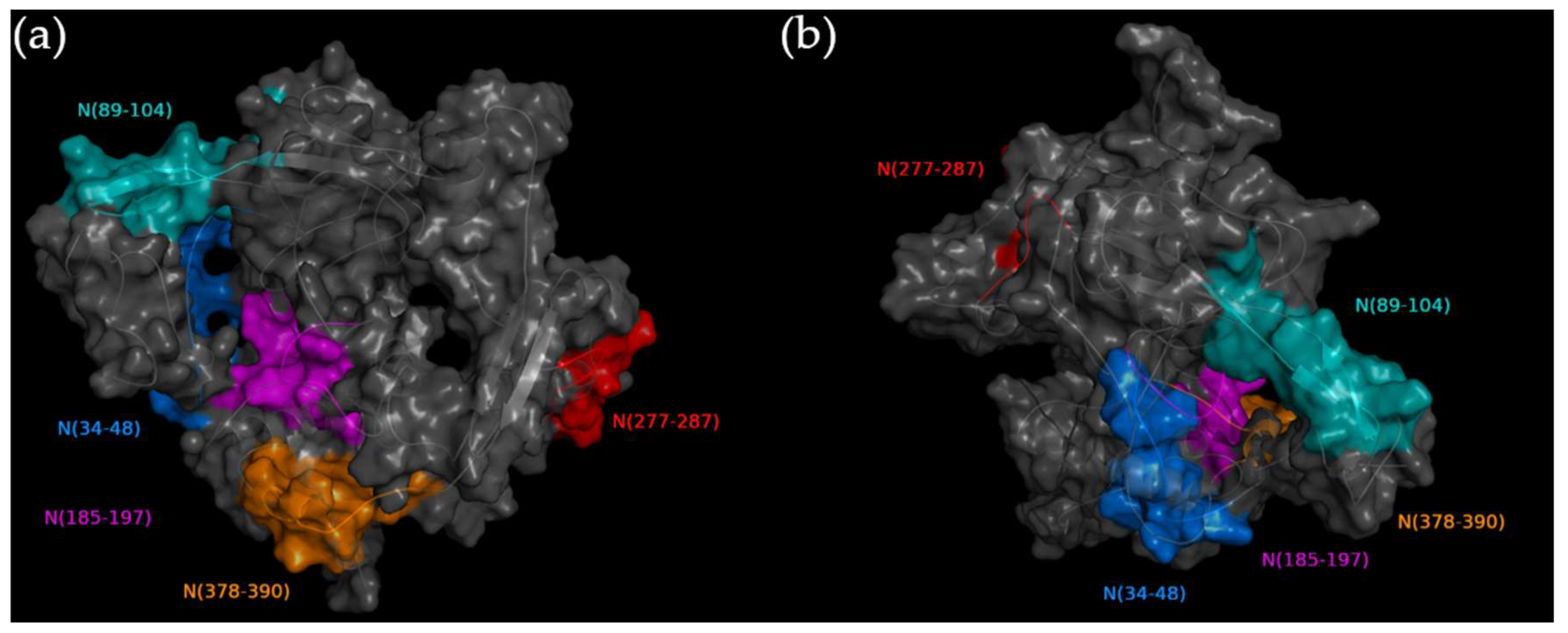 Viruses 15 00923 g001