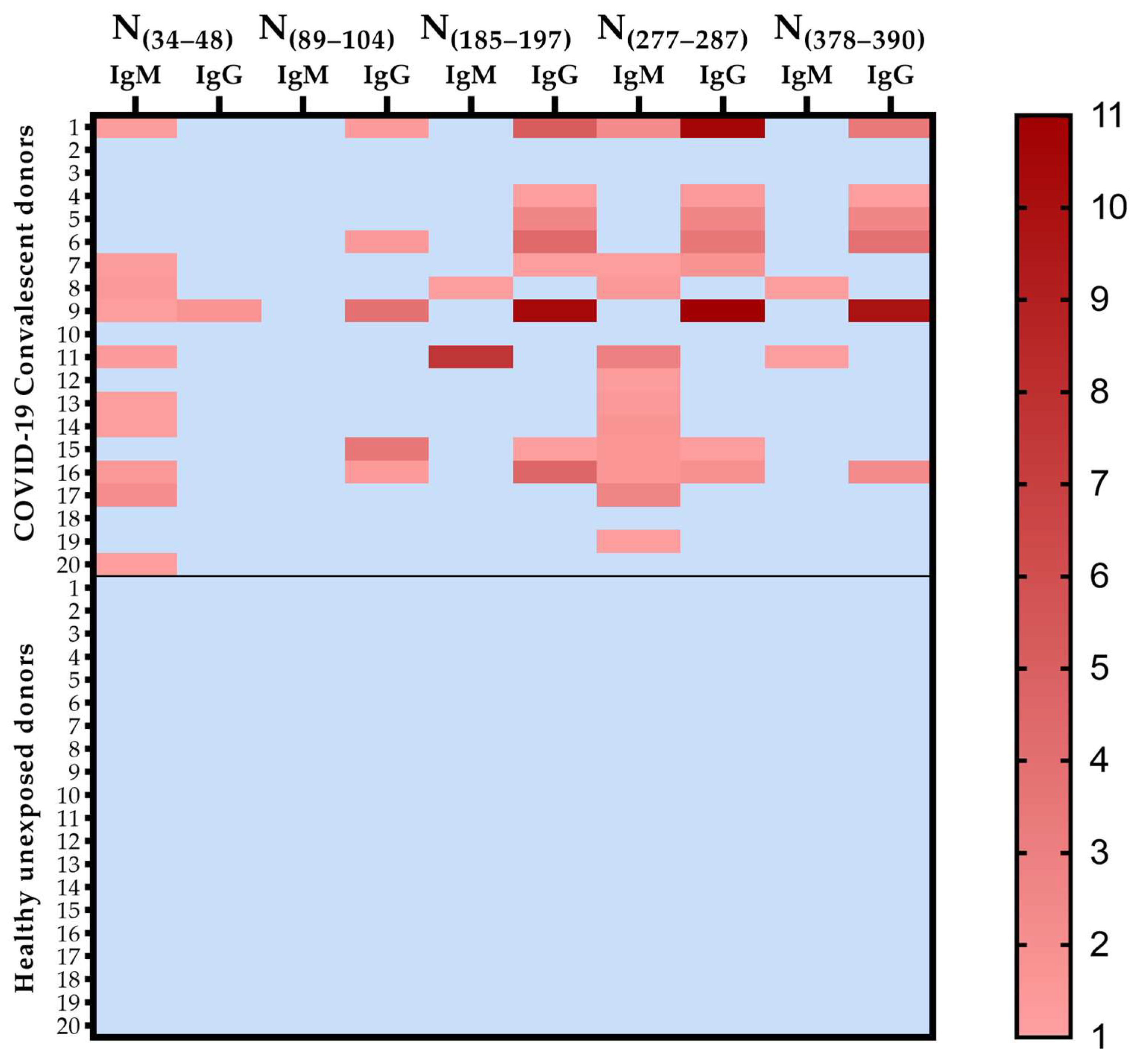 Viruses 15 00923 g002