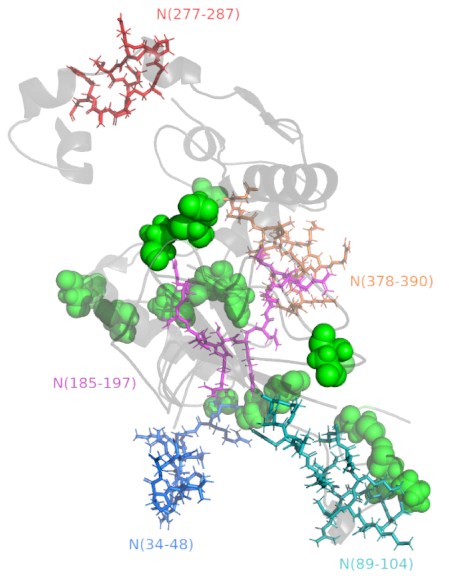 Viruses 15 00923 g004