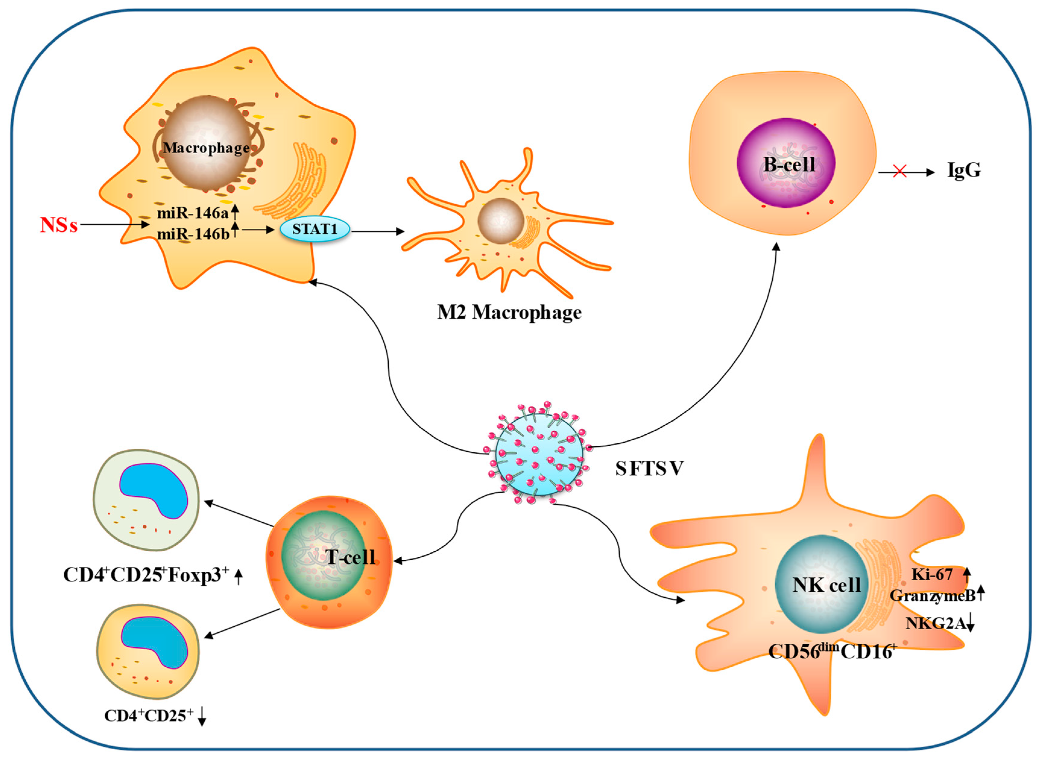 Viruses 15 00940 g003 Viruses 15 00940 g003