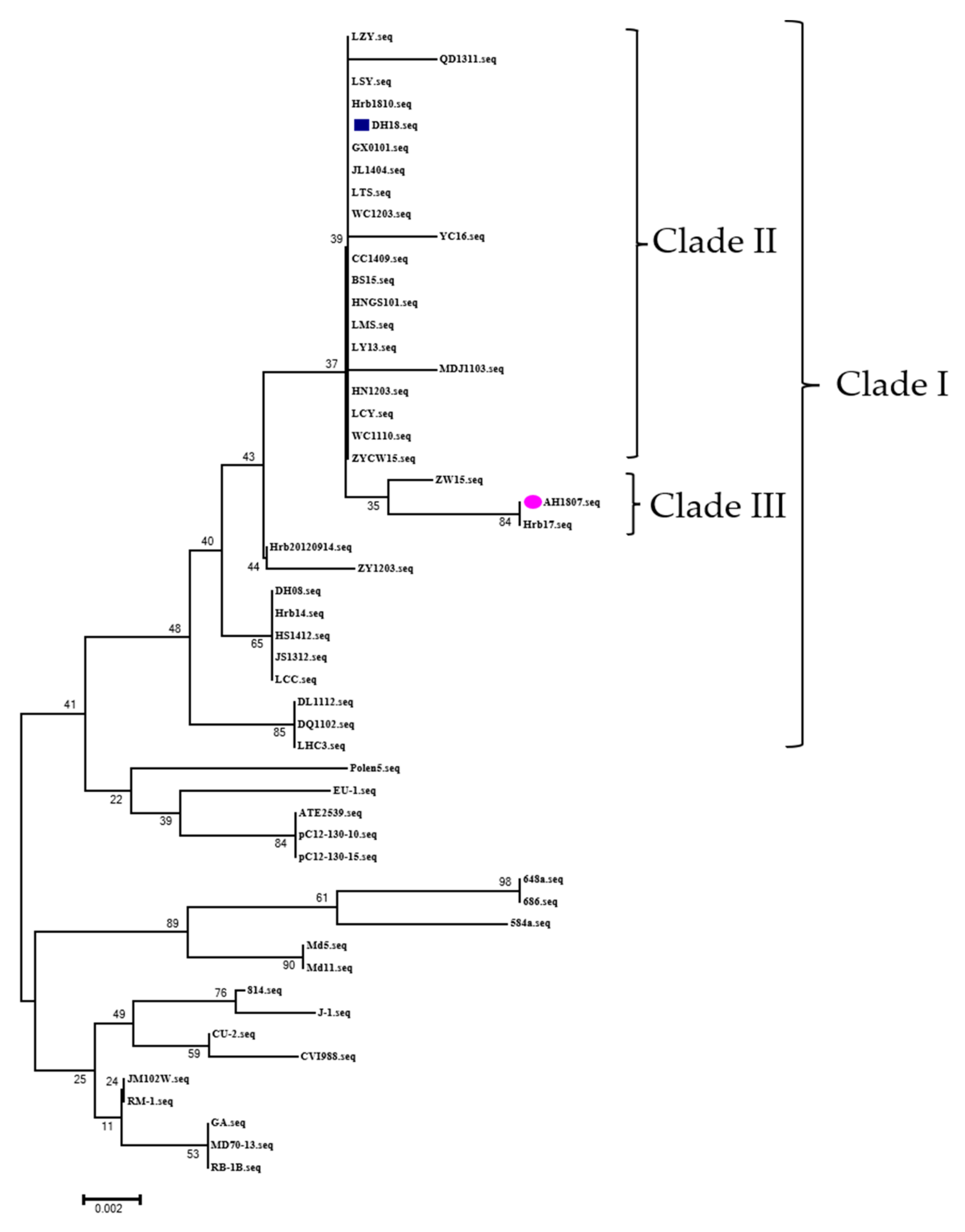 Viruses 15 00945 g008 Viruses 15 00945 g008