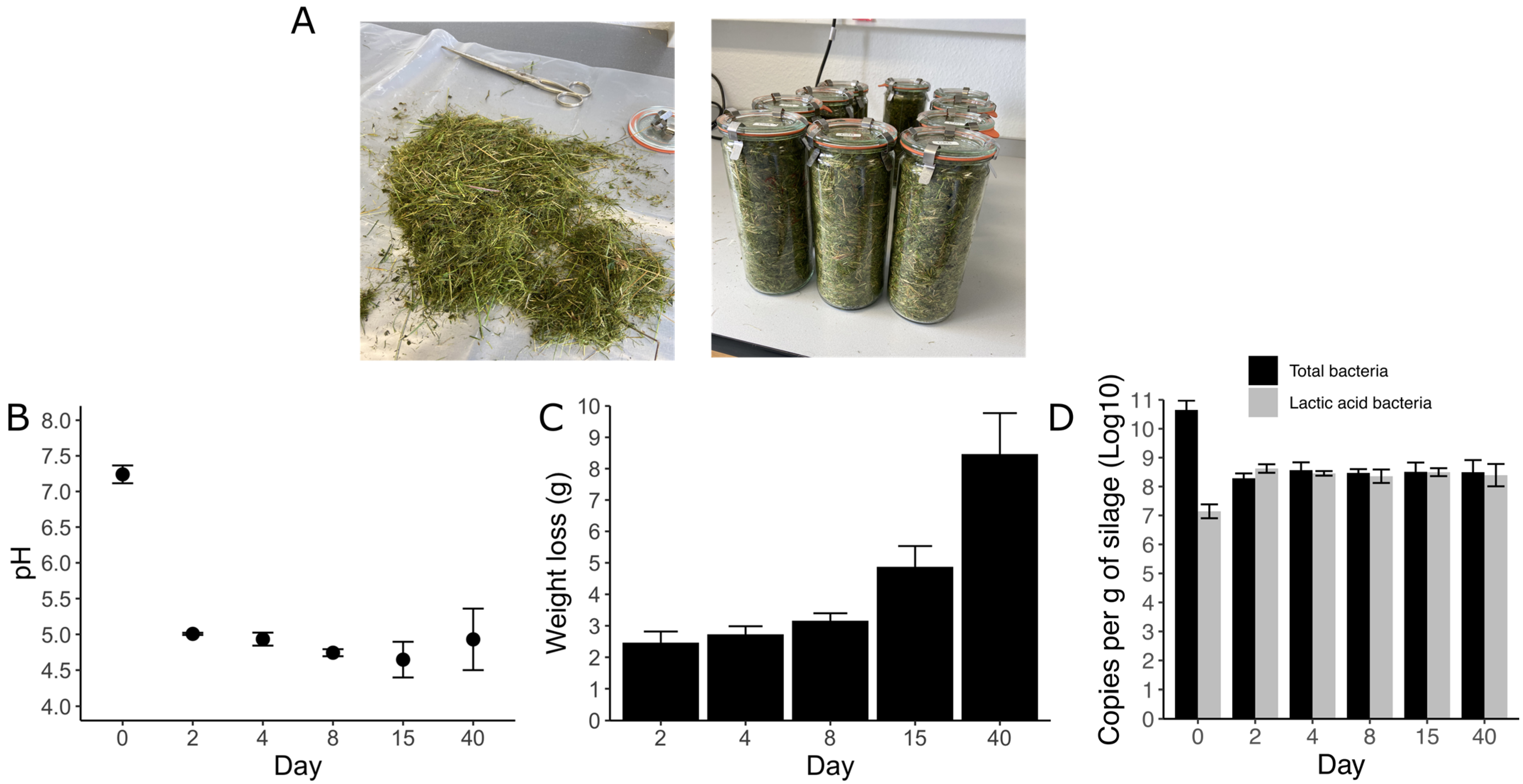 Viruses 15 00951 g001
