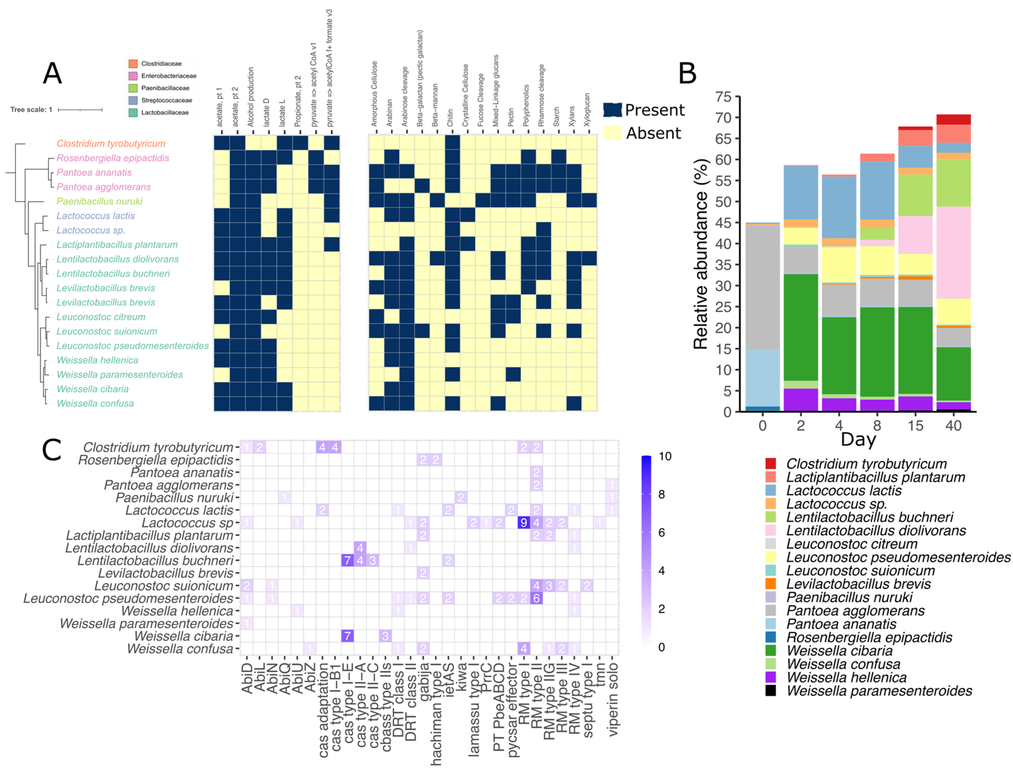 Viruses 15 00951 g003